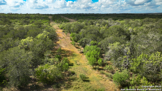 Nixon, Texas, 78140, United States, ,Residential,For Sale,1988320