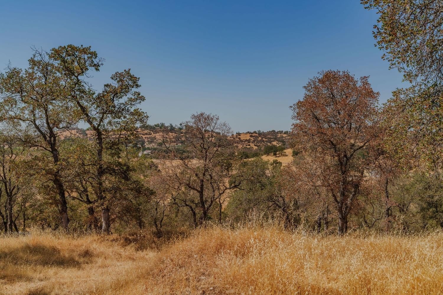 Valley Springs, California, 95252, United States, 3 Bedrooms Bedrooms, ,2 BathroomsBathrooms,Residential,For Sale,1979453