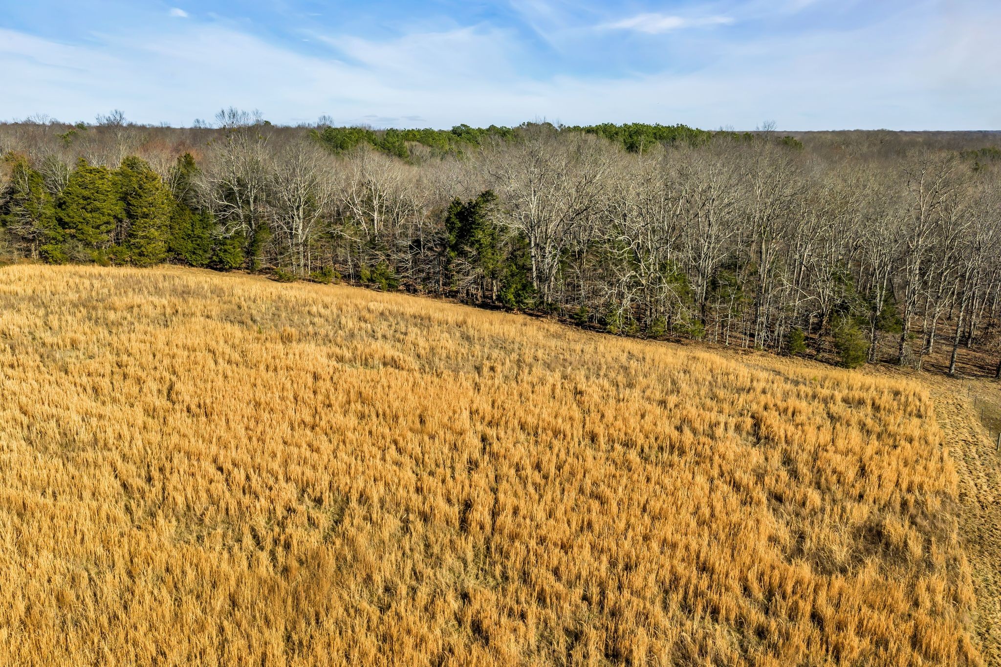  2340 Ridge Road, McEwen, TN 37101 - 物件實景