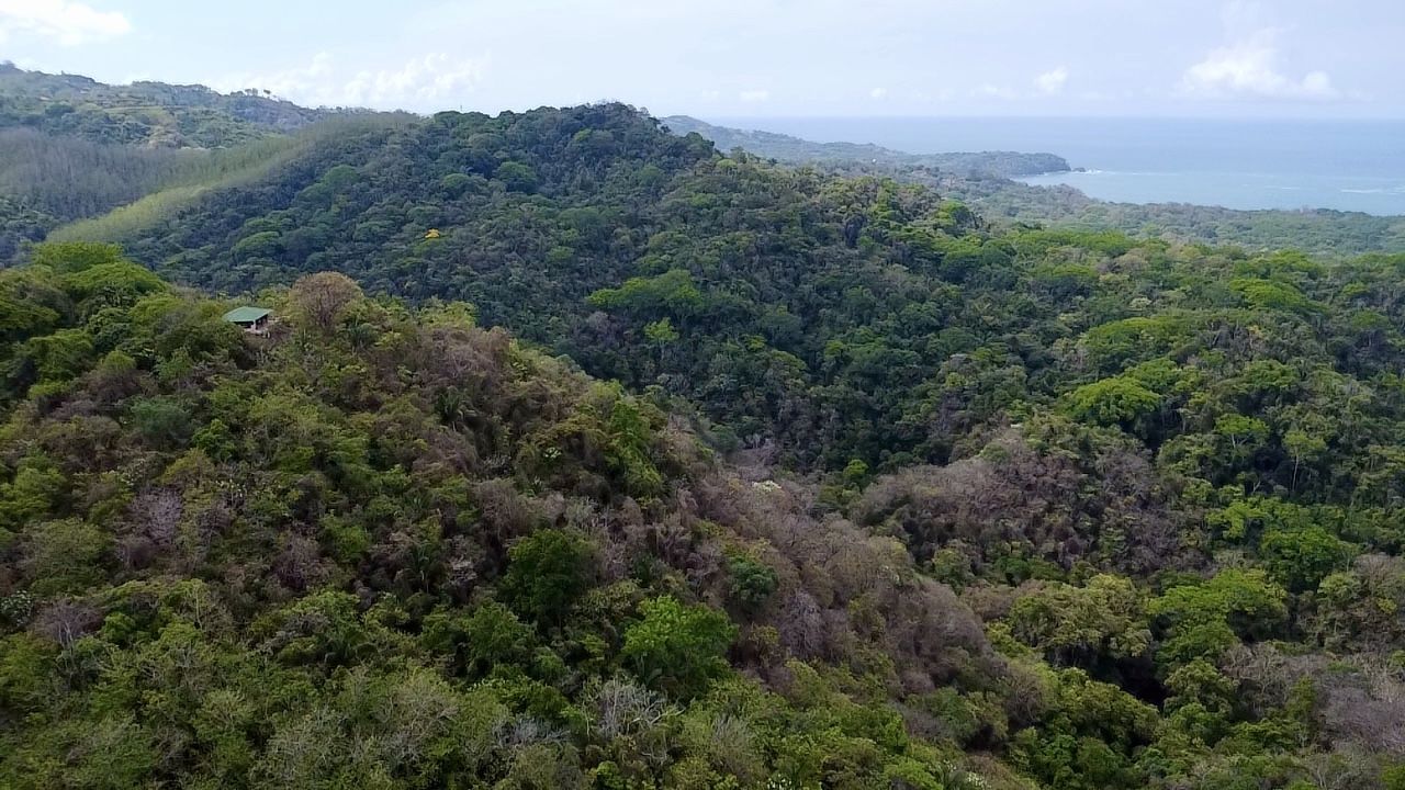 Samara, Guanacaste, CR, ,Land,For Sale,1838458