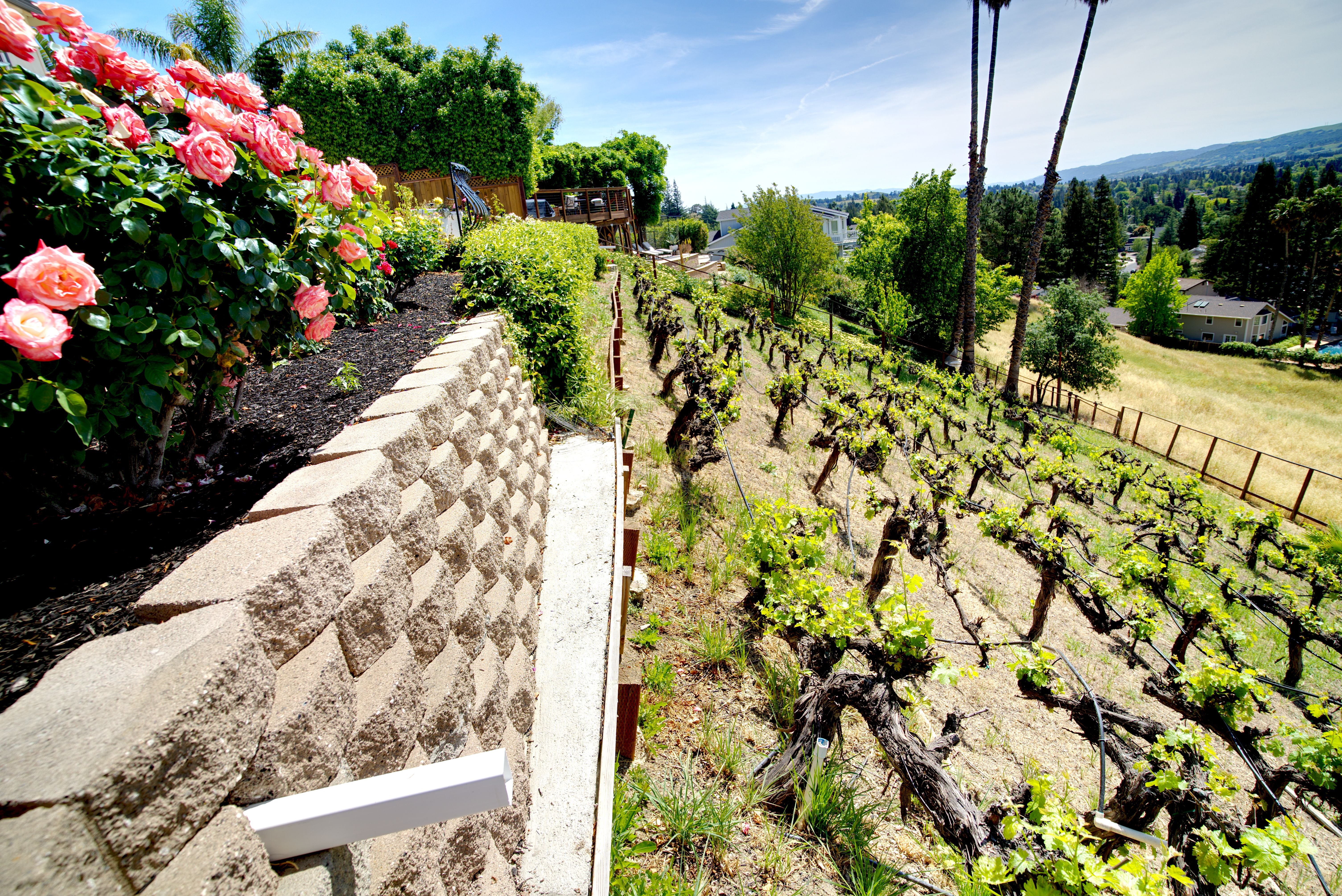  Million Dollar Views and Timeless Elegance in This Exceptional Residence - 物件實景