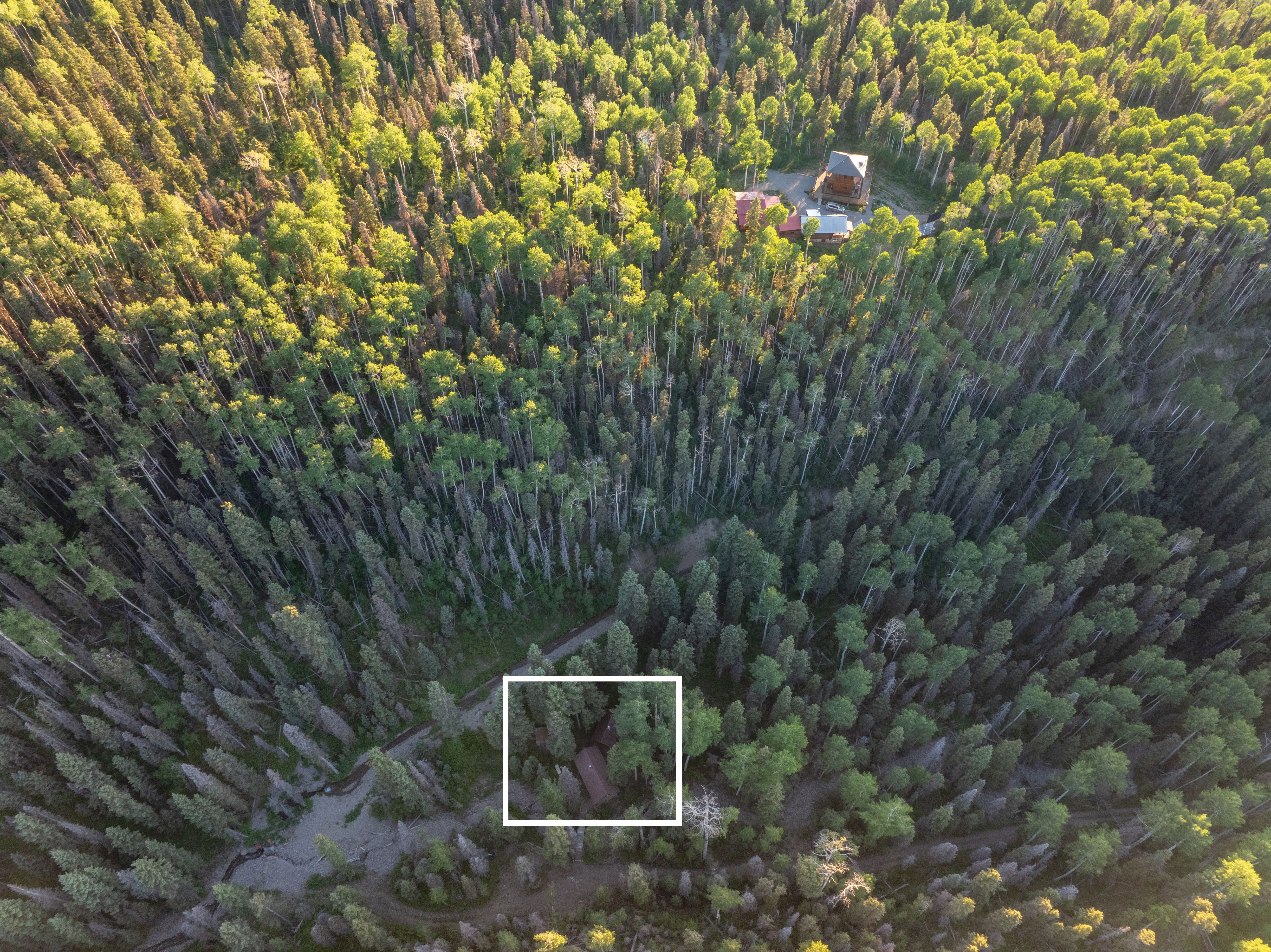  Off-Grid Mountain Retreat Bordering The National Forest - 物件實景