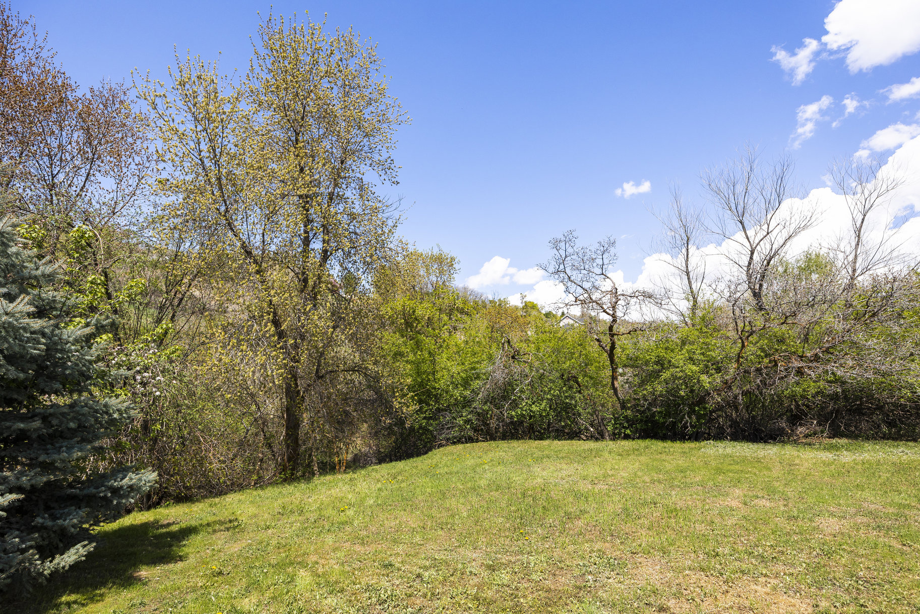  1.47 Acre Lot In East Layton With Endless Possibilities - 物件實景