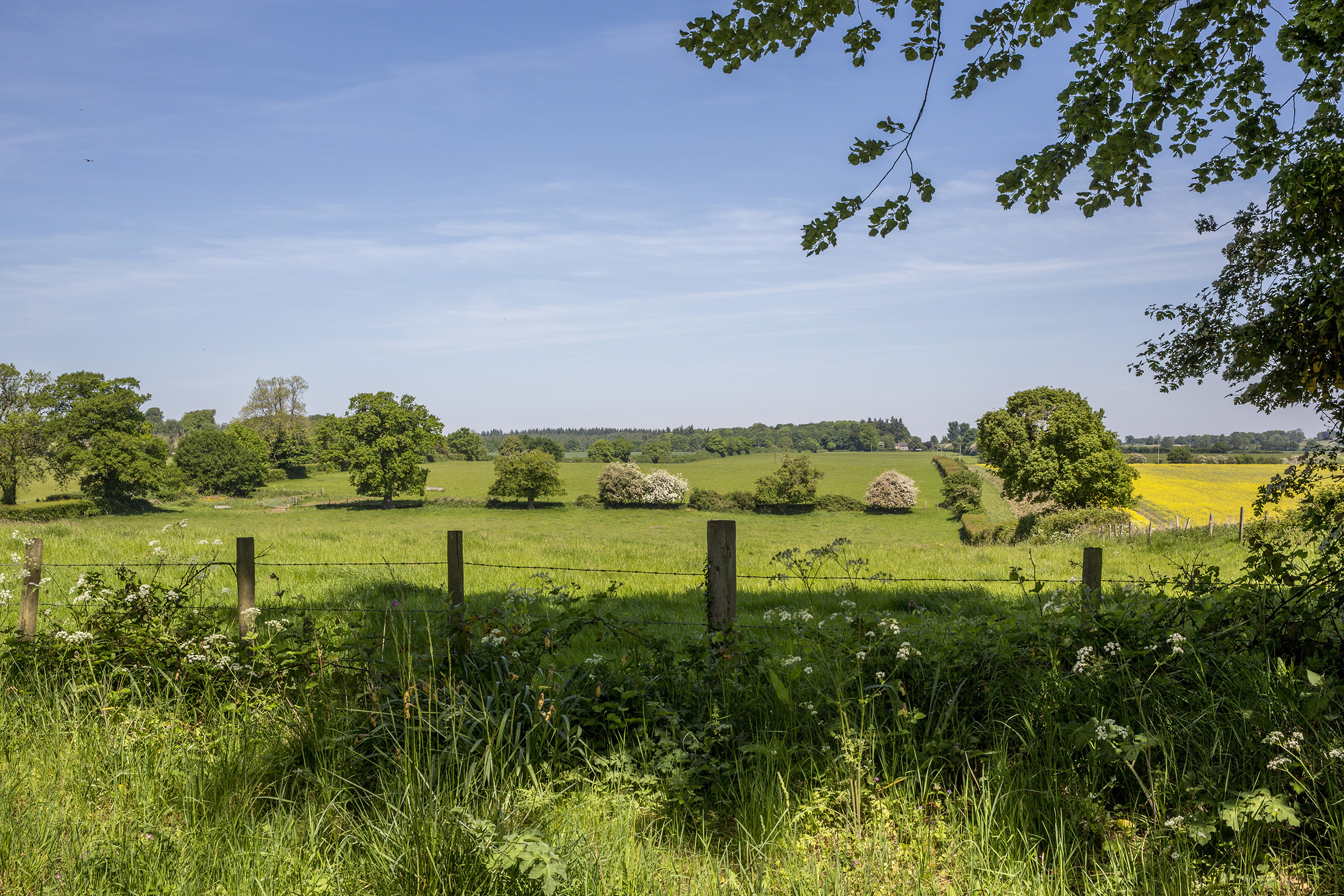  A Magnificent Victorian Rectory in the Heart of the North Wessex Downs - 物件實景