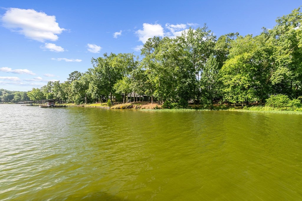 Abbeville, Alabama, 36310, United States, 3 Bedrooms Bedrooms, ,2 BathroomsBathrooms,Residential,For Sale,1866584
