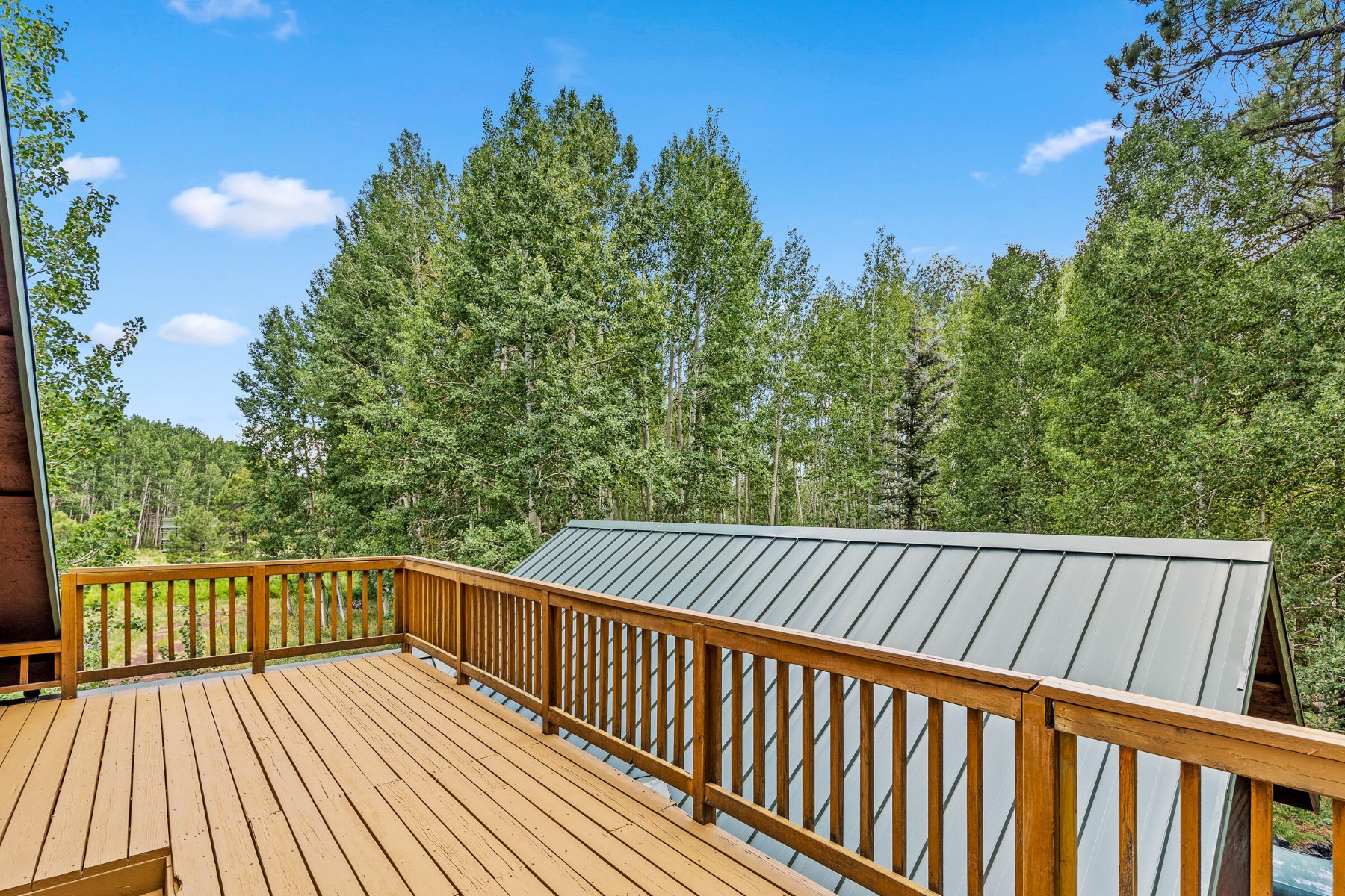  17787 N Forest Service 9004t Road ¦ Flagstaff, AZ - 物件實景
