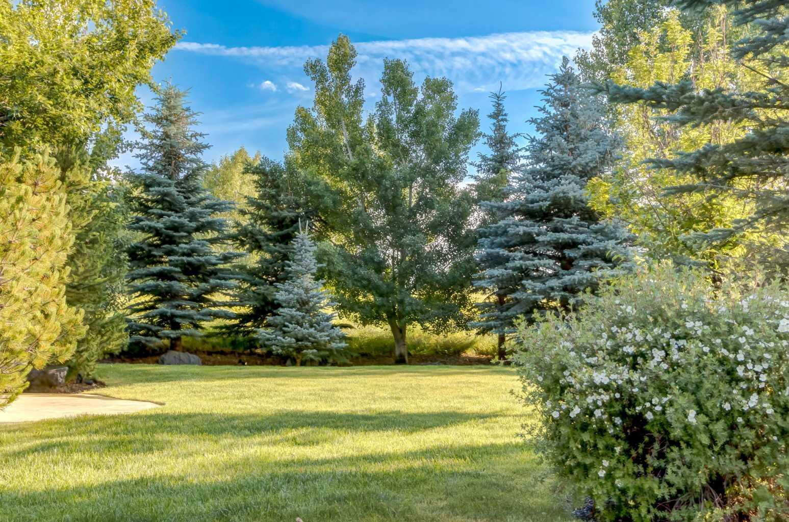 RURAL ROCKY VIEW COUNTY, Alberta, T3Z 3C9, CA, 6 Bedrooms Bedrooms, ,6 BathroomsBathrooms,Residential,For Sale,1895418