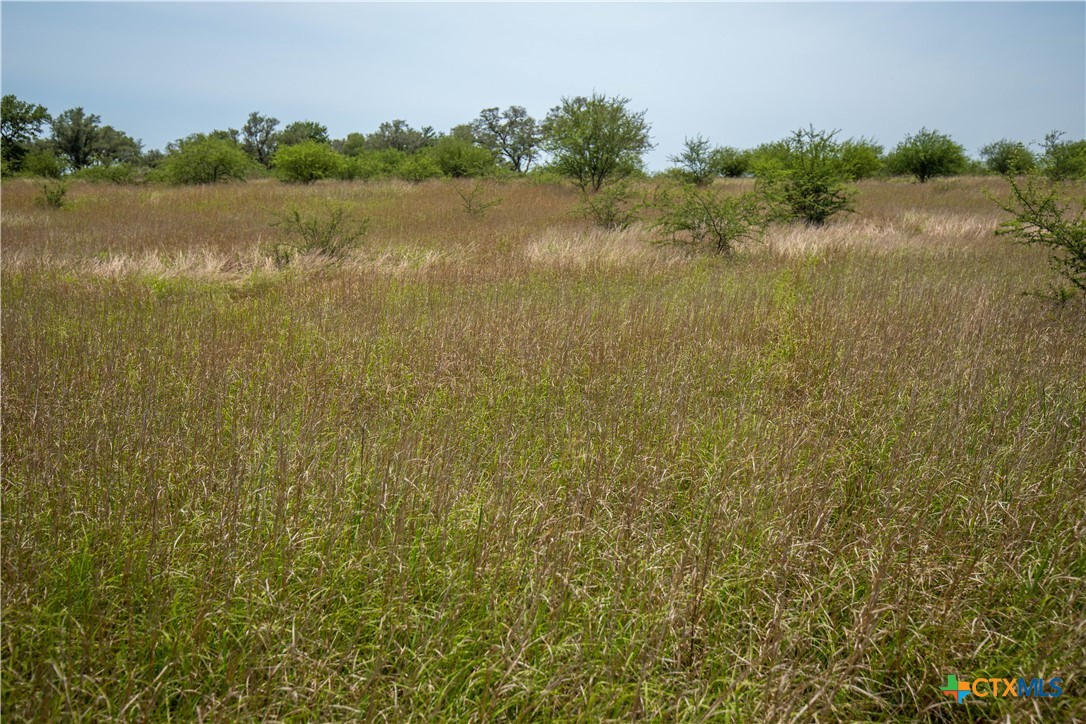 Cuero, Texas, 77954, United States, ,Residential,For Sale,1950887