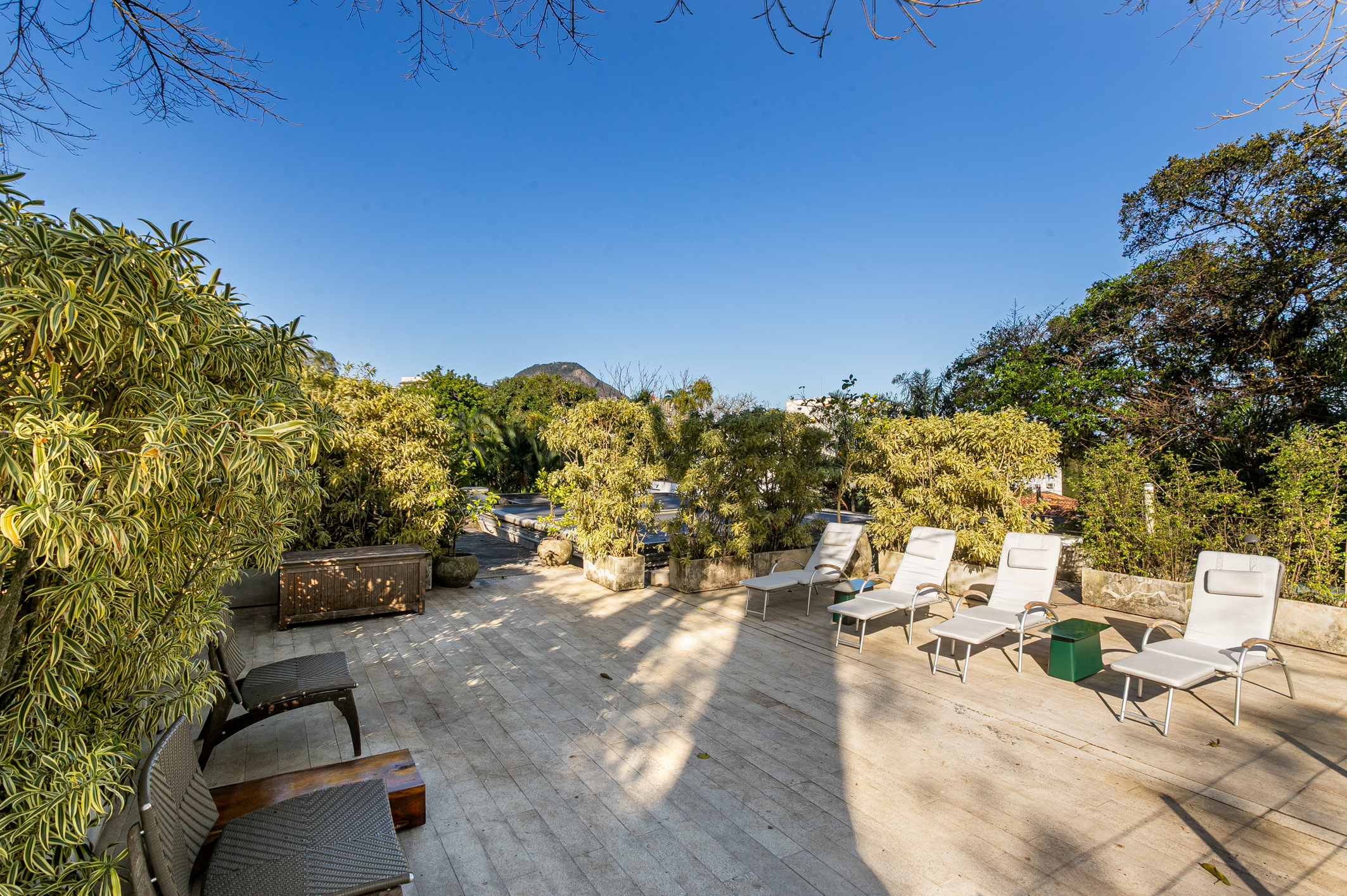  Fully Renovated Landmark Residence in Jardim Botânico - 物件實景