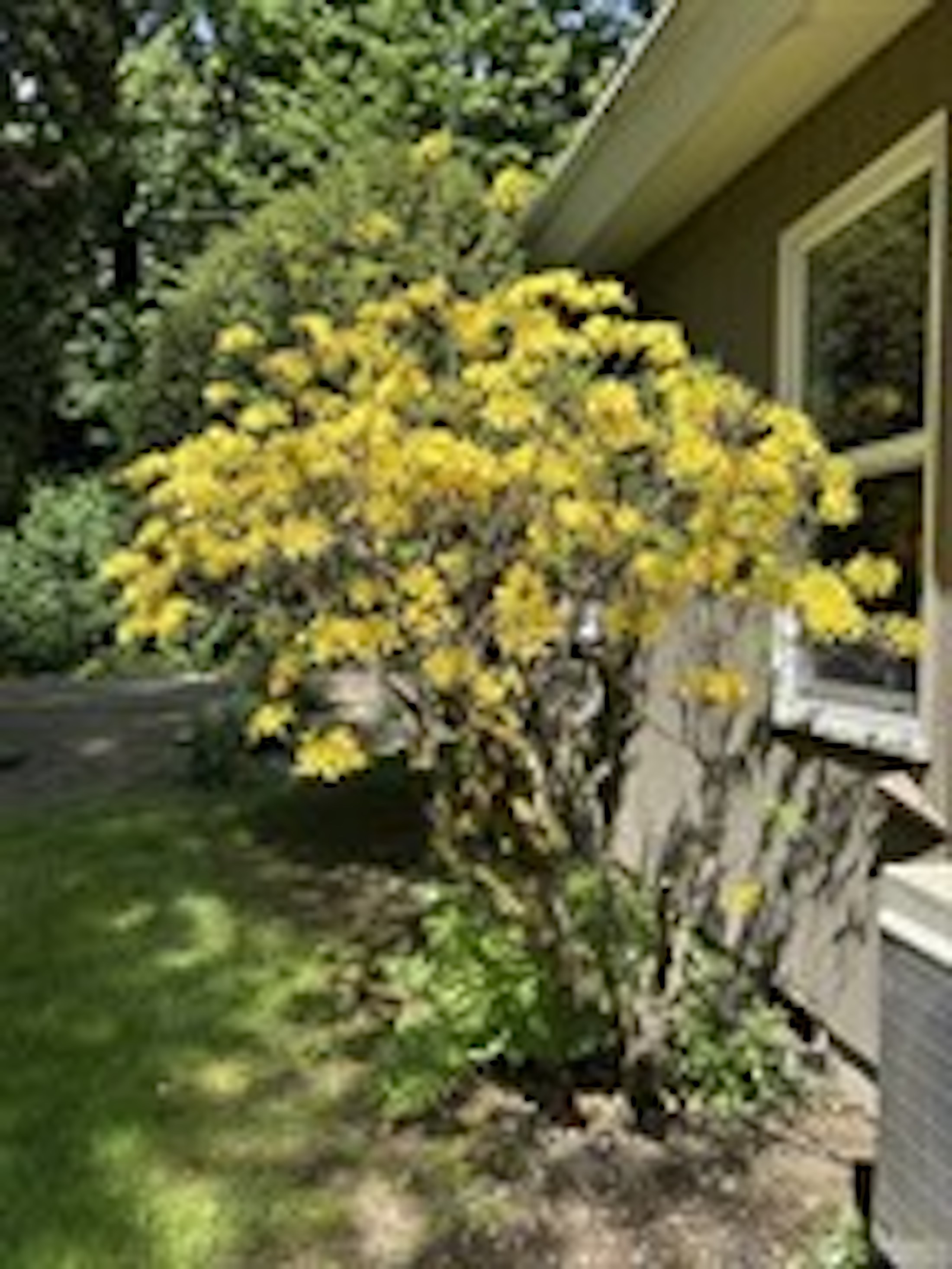  Sammamish River Retreat - 物件實景