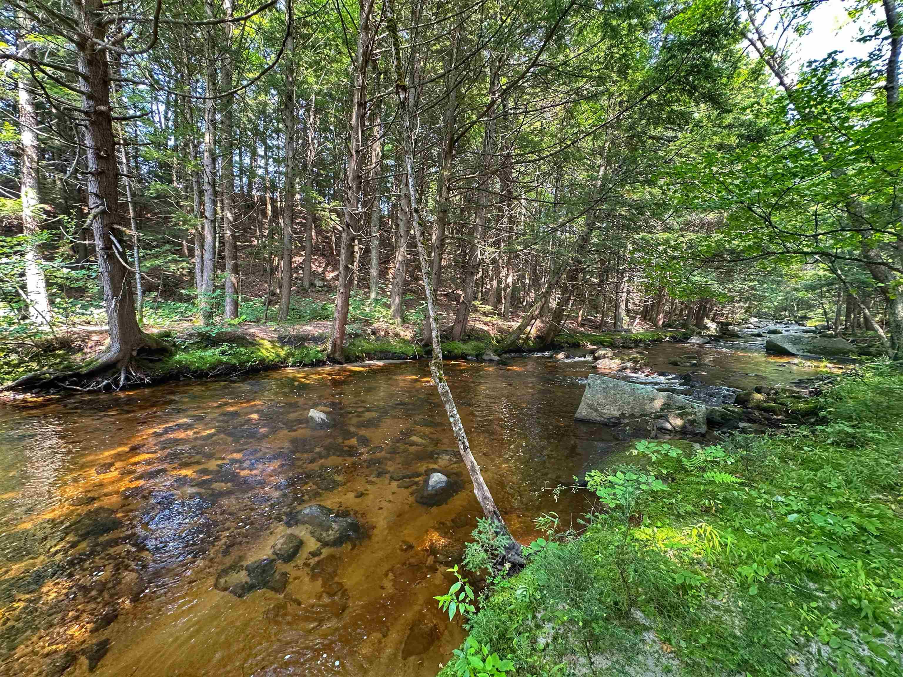 Grafton, New Hampshire, 03240, United States, 4 Bedrooms Bedrooms, ,1 BathroomBathrooms,Residential,For Sale,1737414