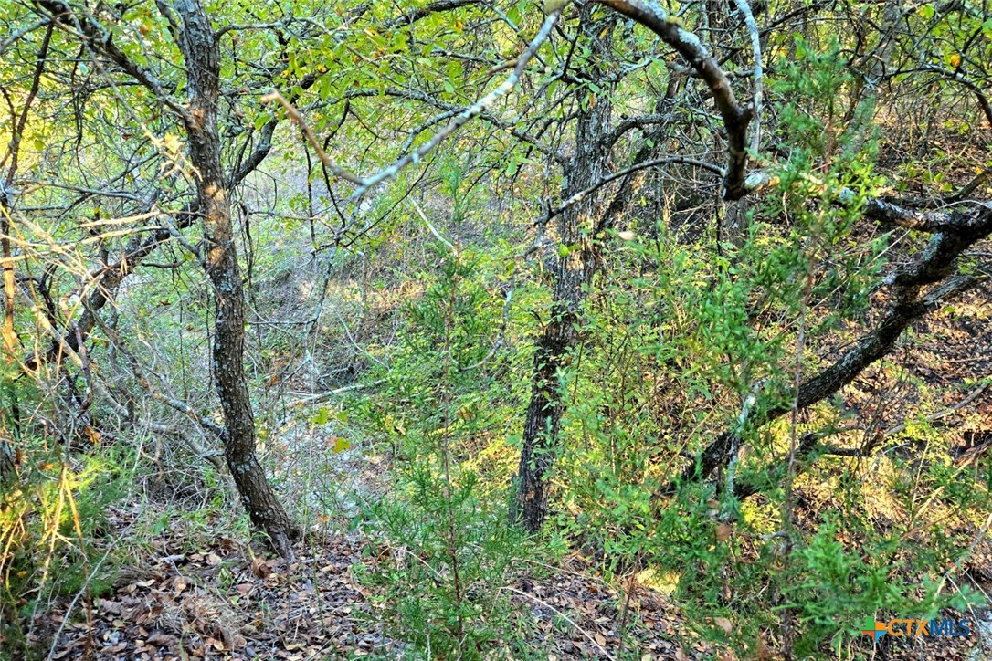 Bartlett, Texas, 76511, United States, 3 Bedrooms Bedrooms, ,2 BathroomsBathrooms,Residential,For Sale,1991211