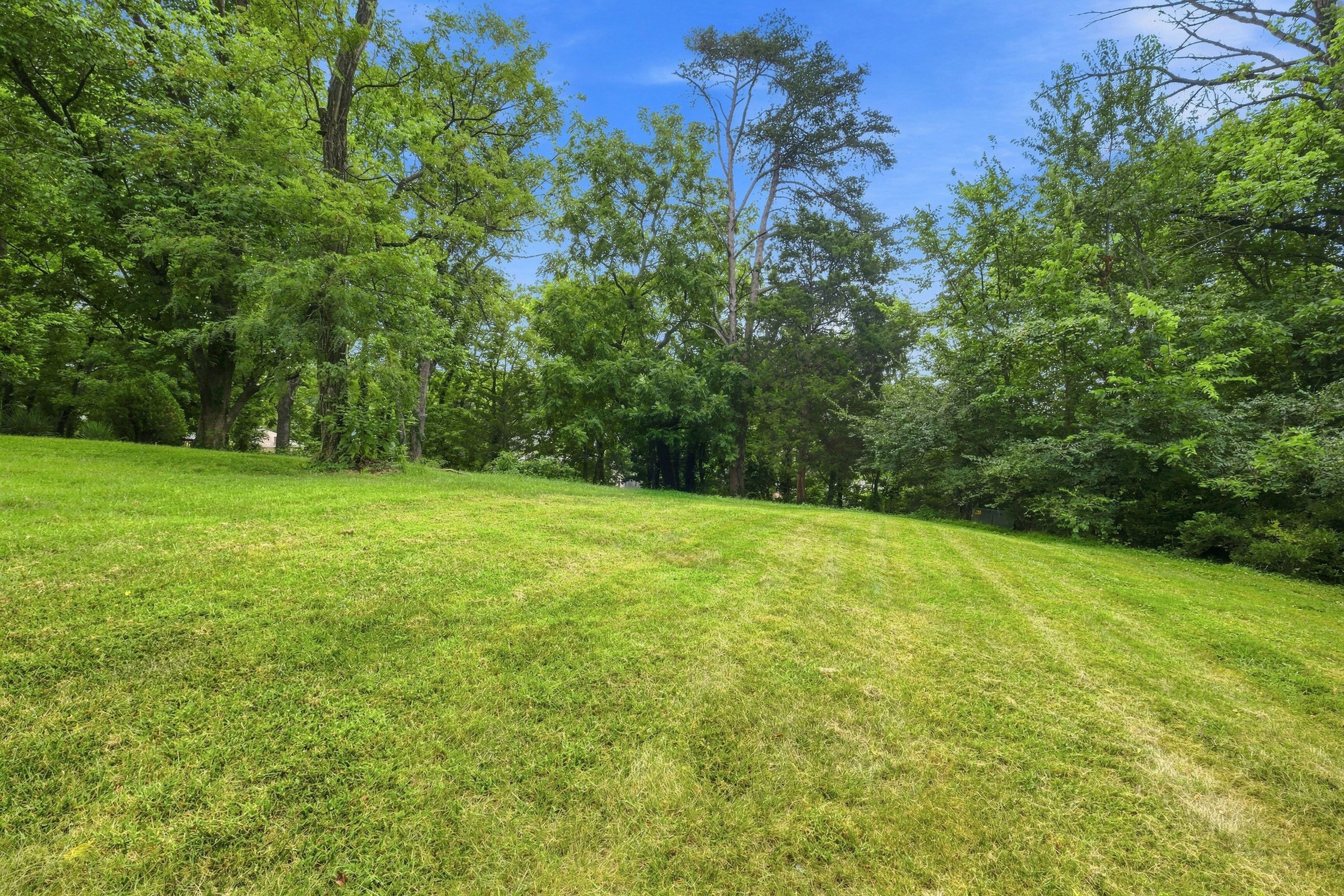  1510 Sylvan Way, Louisville, KY 40205 - 物件實景