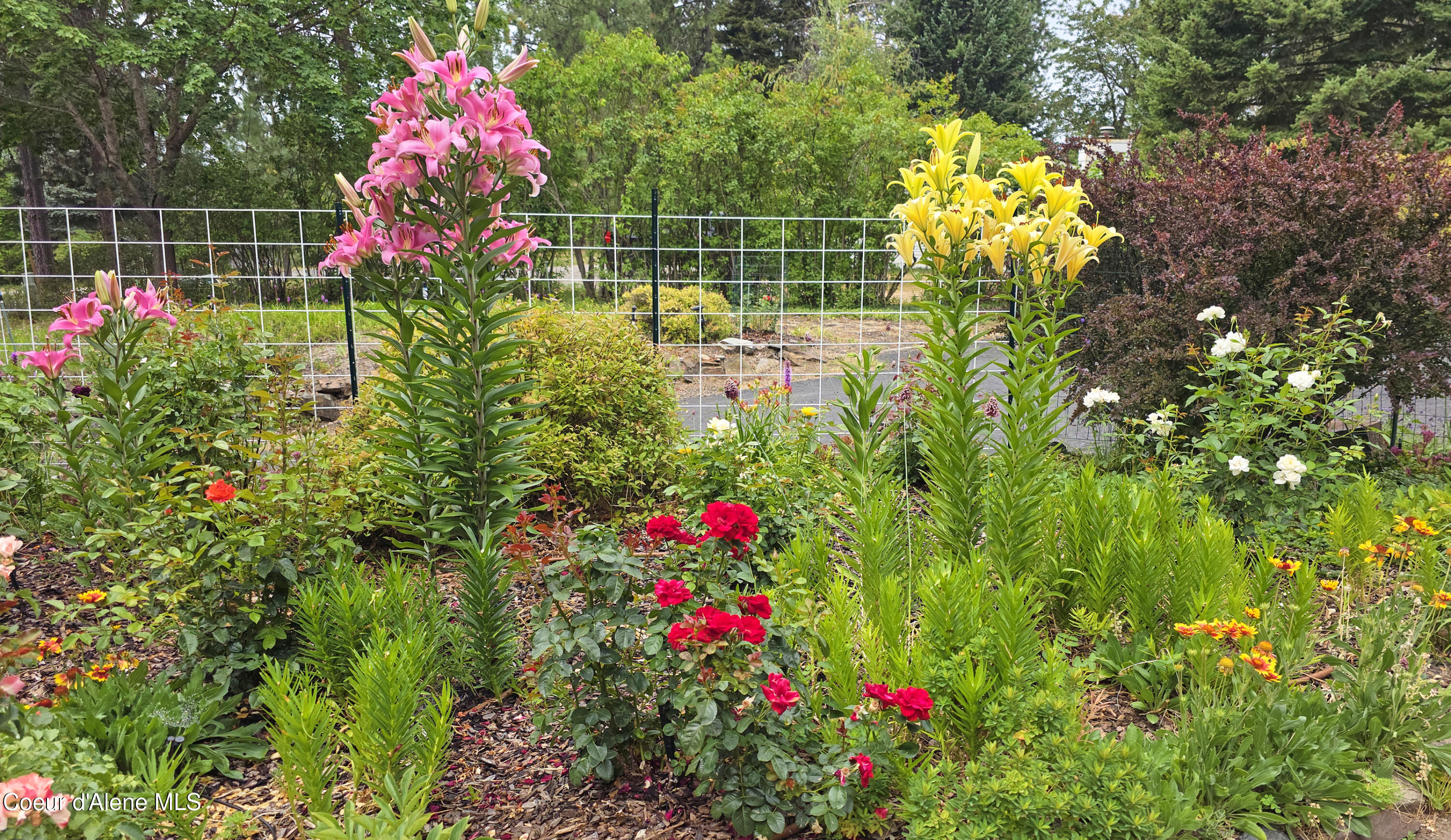 Hauser, Idaho, 83854, United States, 3 Bedrooms Bedrooms, ,3 BathroomsBathrooms,Residential,For Sale,1974734