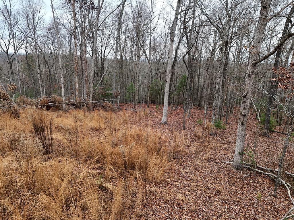 Blue Ridge, Georgia, 30513, United States, ,Land,For Sale,1859049