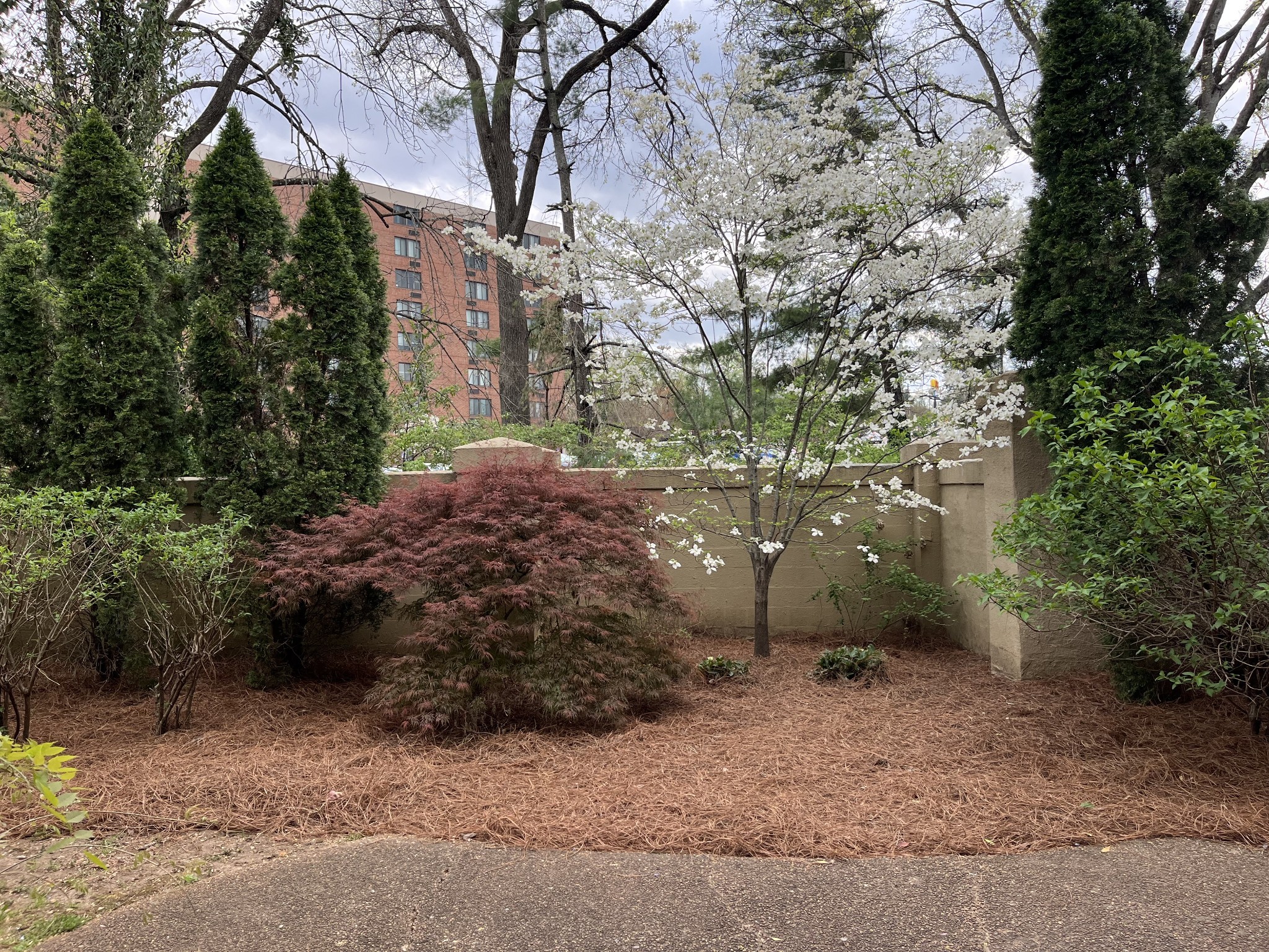  4487 Post Pl #2, Nashville, TN, 37205 - 物件實景