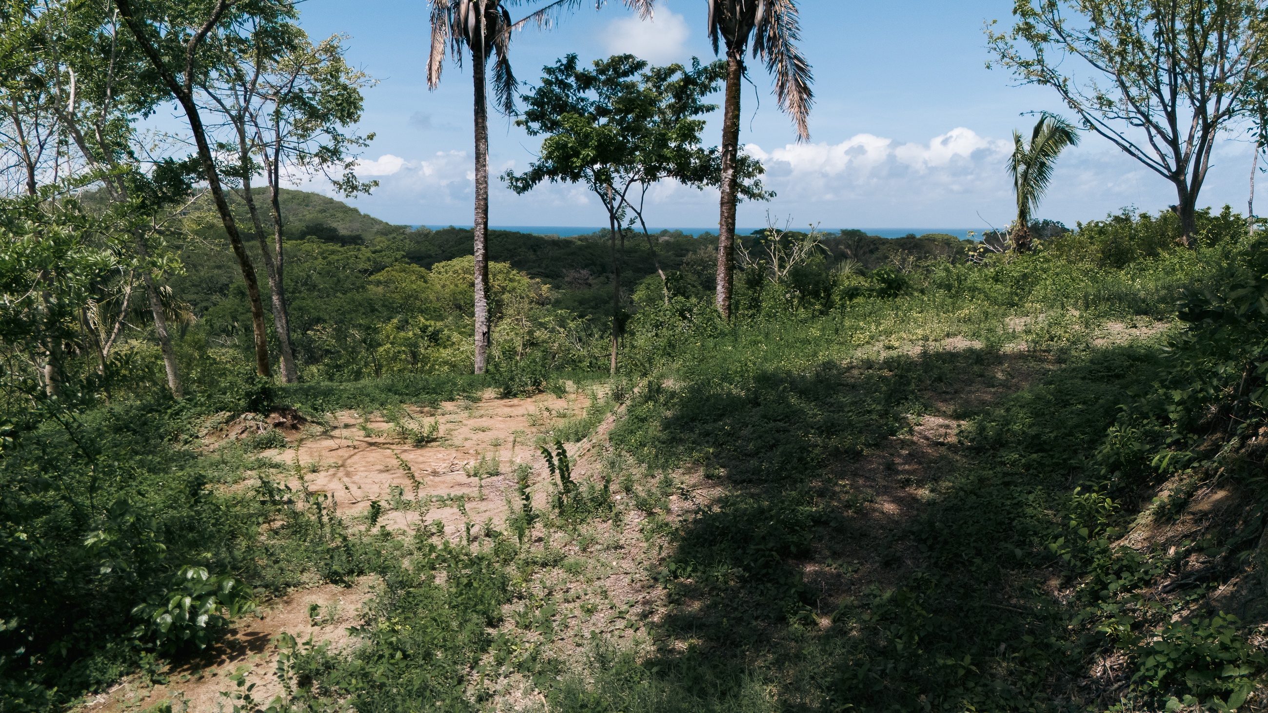 Nosara, Guanacaste, CR, ,Land,For Sale,1669008