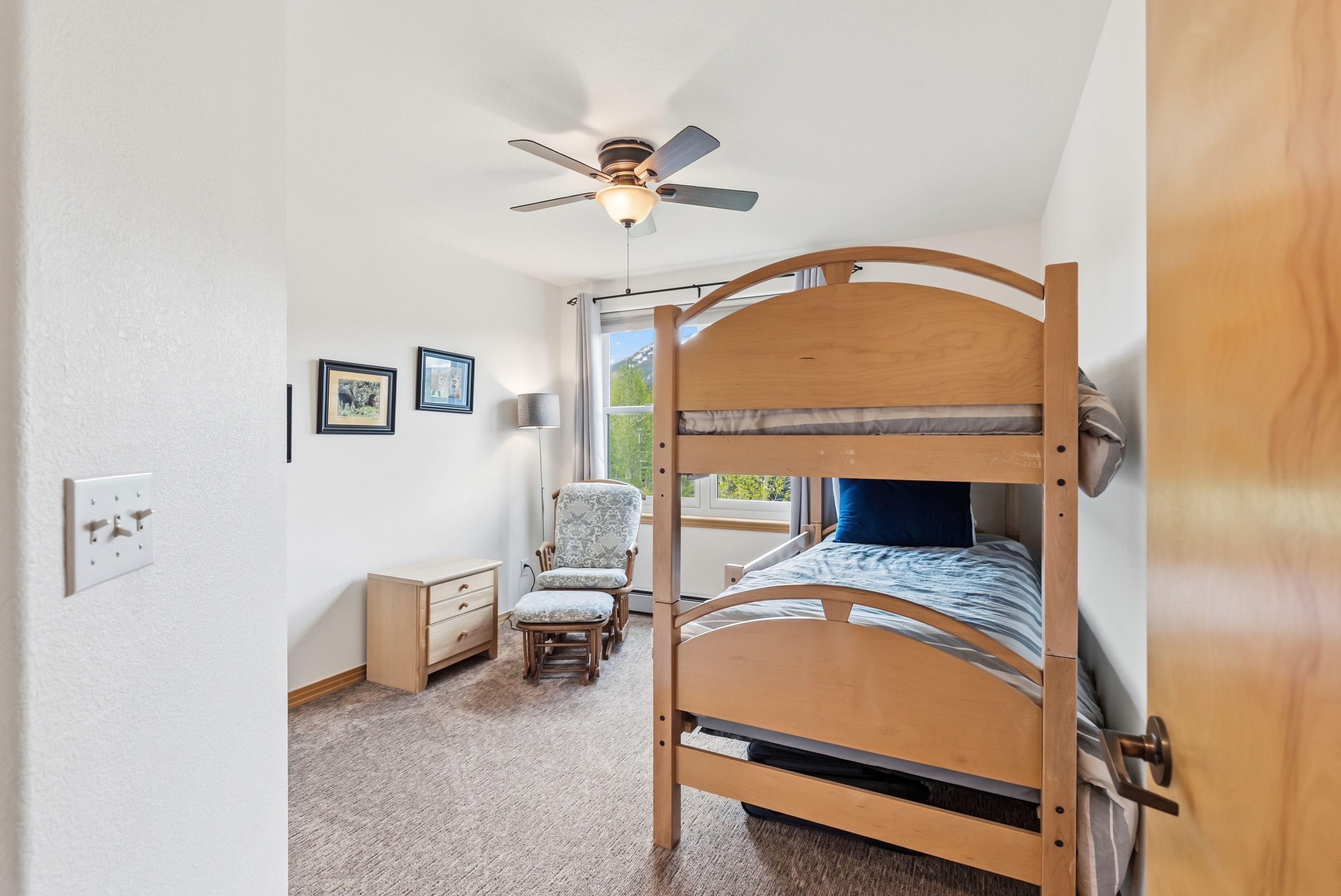  135 Creek Lane, Silverthorne, CO, 80498 - 物件實景