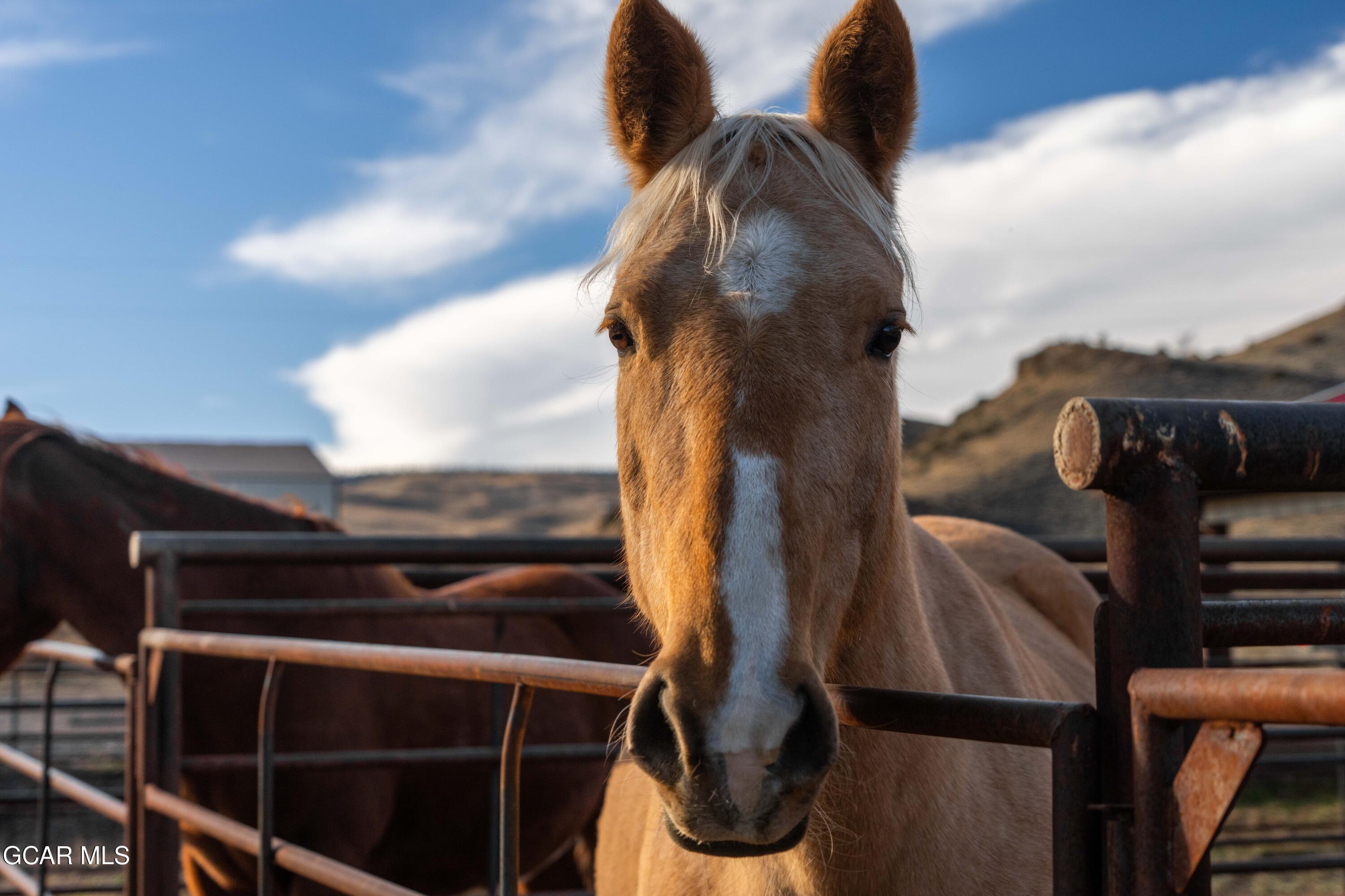 Hot Sulphur Springs, Colorado, 80451, United States, 6 Bedrooms Bedrooms, ,6 BathroomsBathrooms,Residential,For Sale,1999593