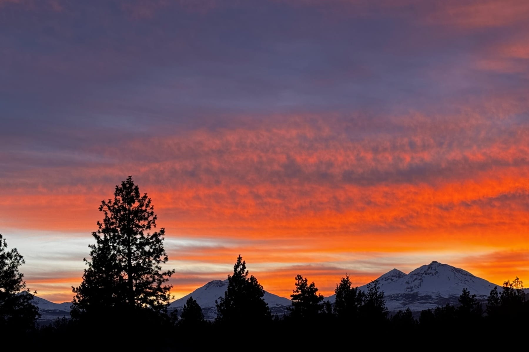  69550 Pine Ridge Drive Sisters, OR 97759 - 物件實景