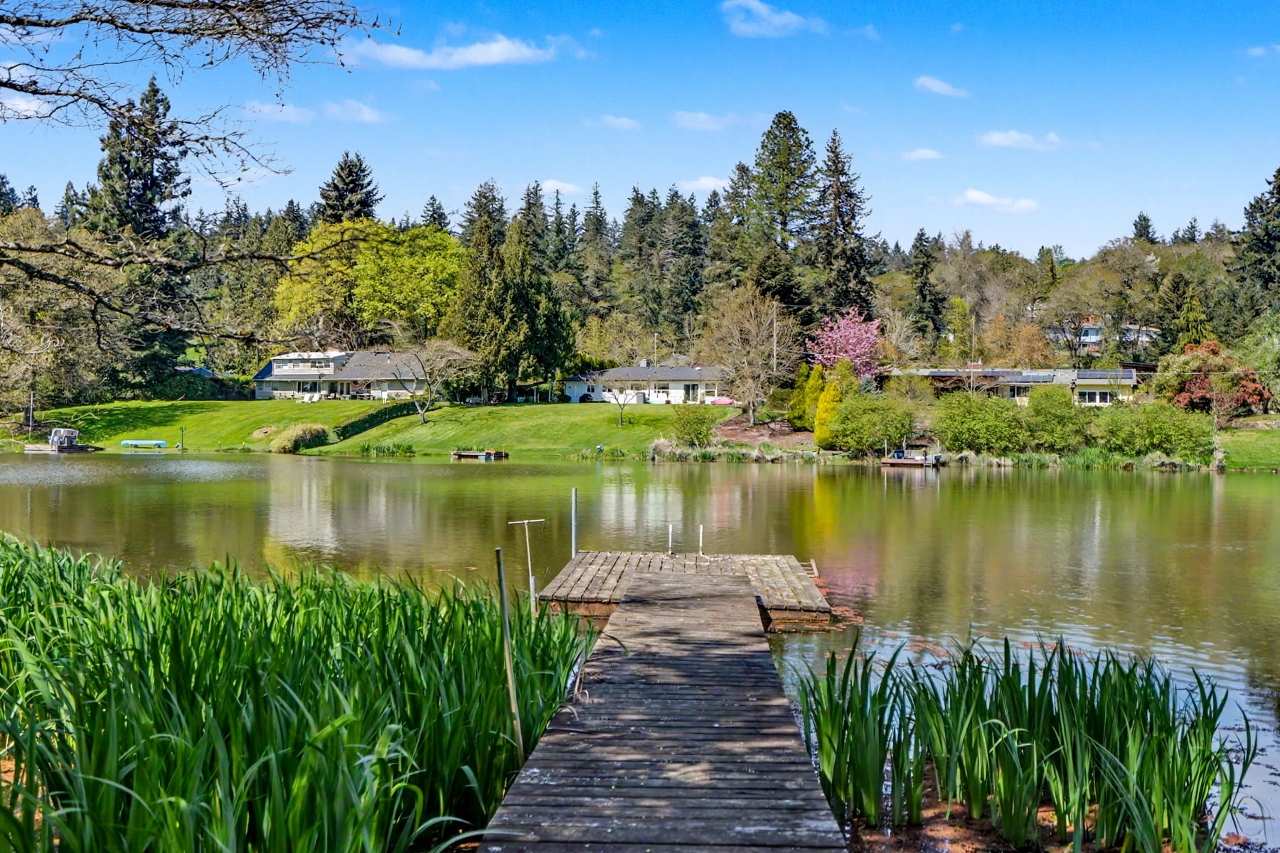  1017 Jones Av NW Albany, OR 97321 - 物件實景