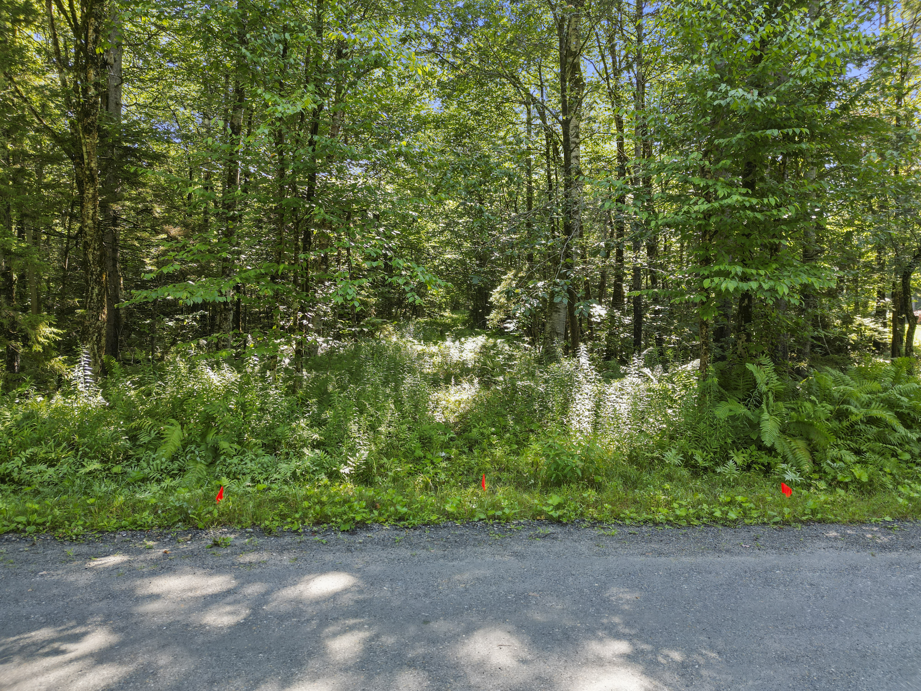  7.5 SERENE ACRES IN BECKET WOODS - 物件實景