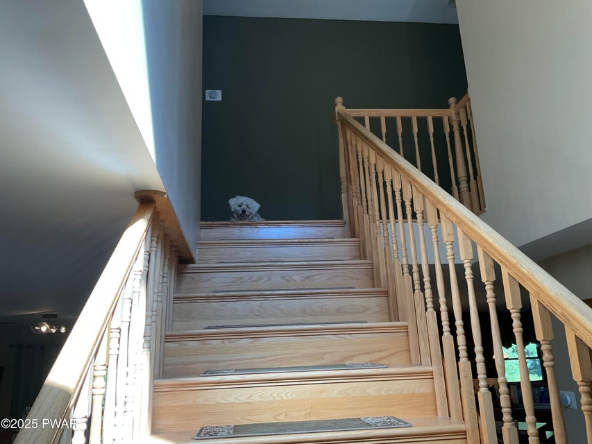 Milford, Pennsylvania, 18337, United States, 3 Bedrooms Bedrooms, ,3 BathroomsBathrooms,Residential,For Sale,1981276