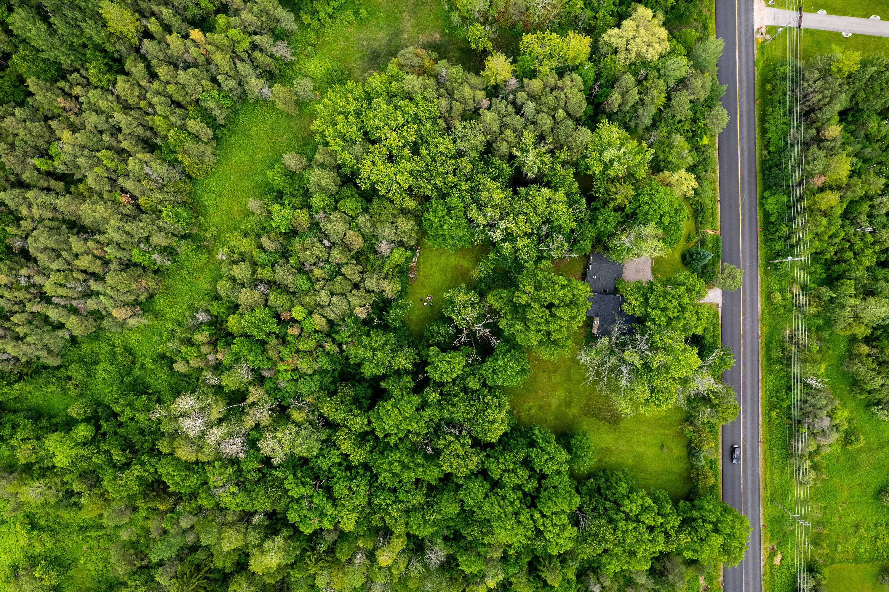  Square Nail Farm - 物件實景