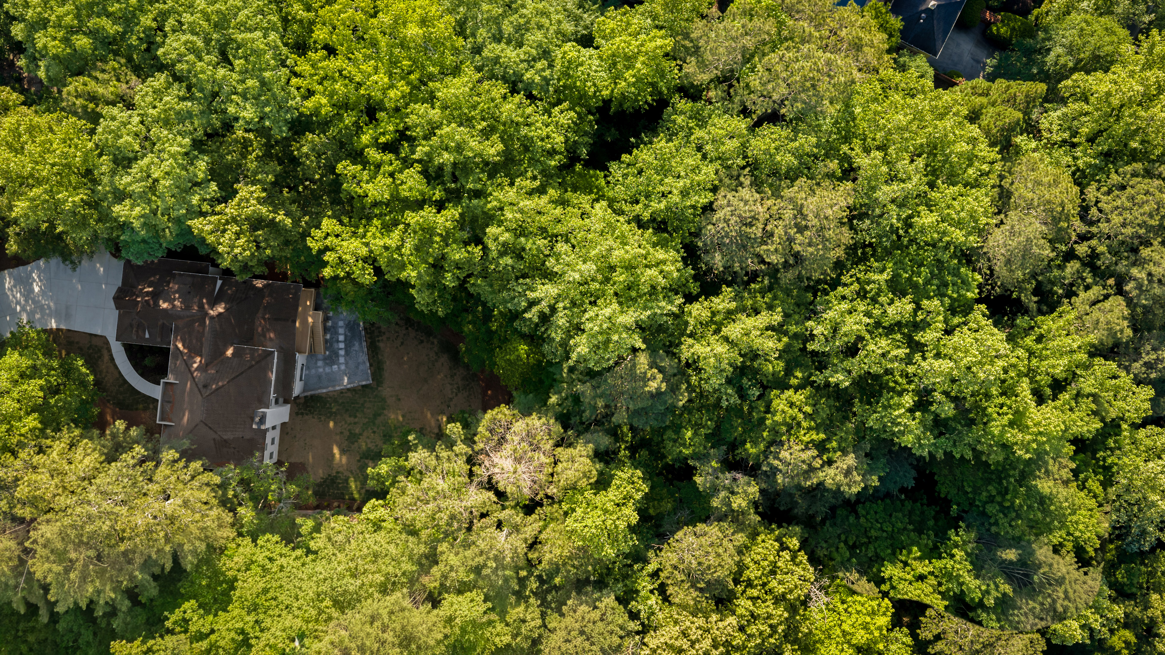  Reimagined Luxury Estate on 3.87 Acres - 物件實景