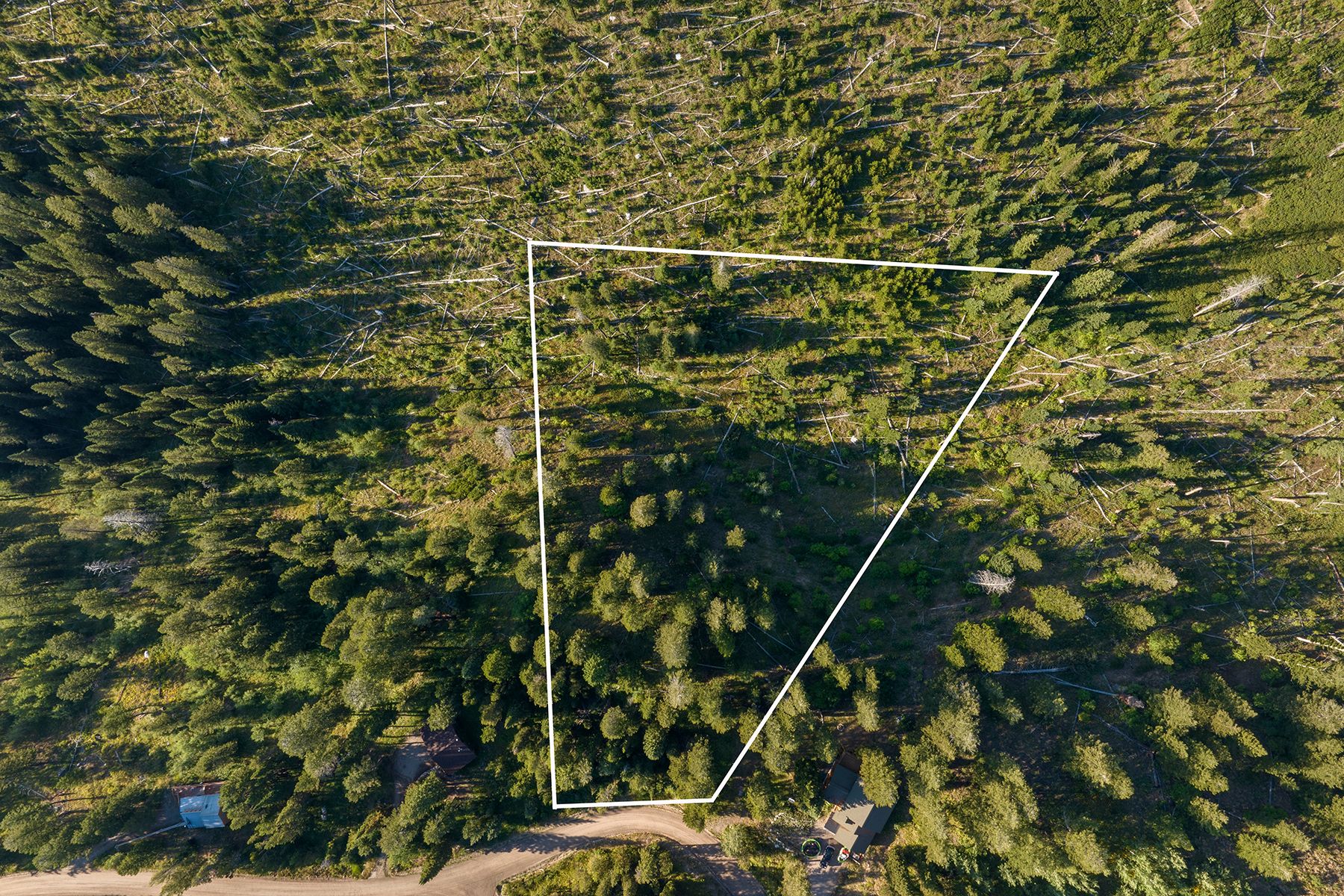  Wilson Acreage Bordering Bridger-Teton National Forest - 物件實景