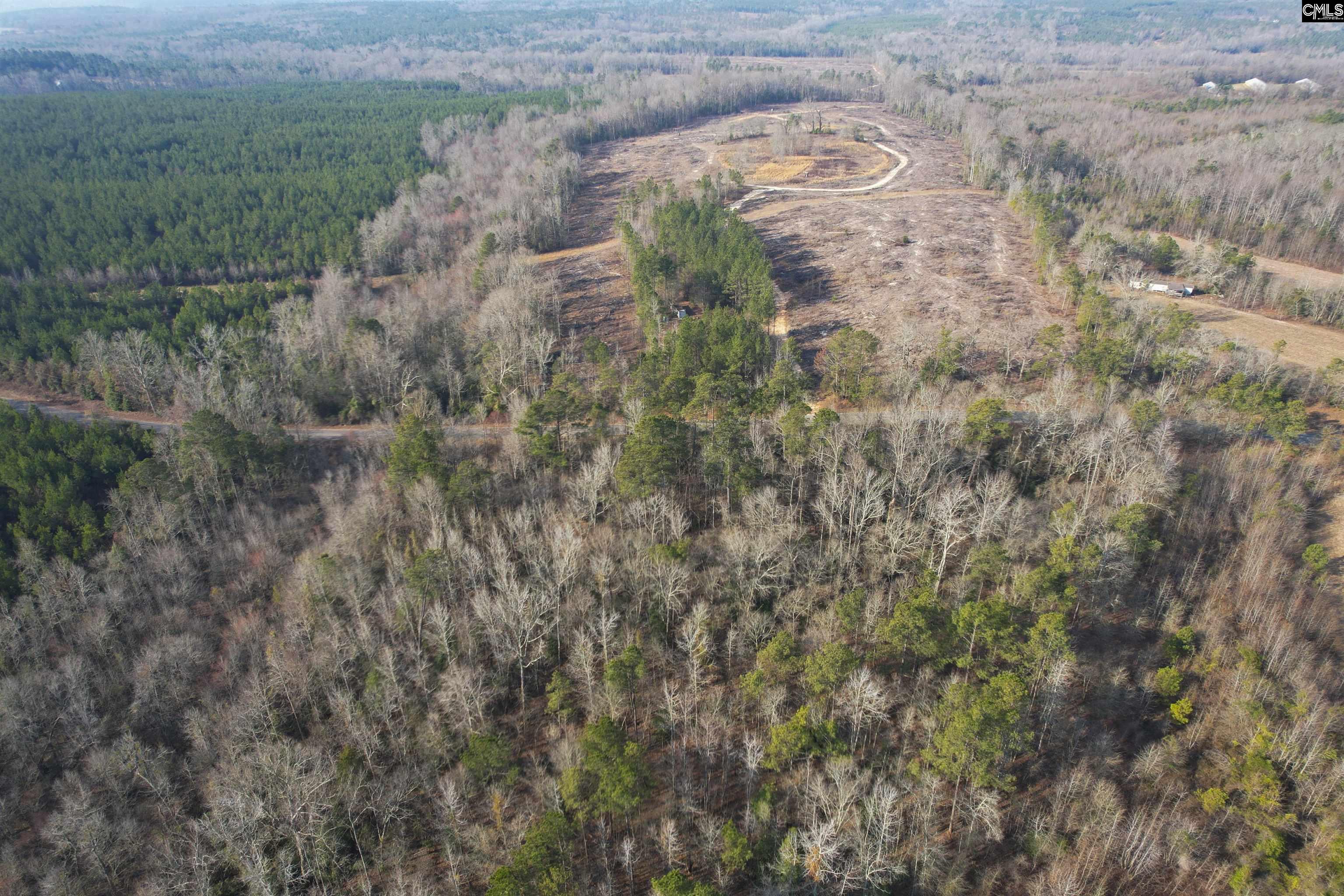 703 Neds Creek Road, Kershaw, South Carolina, 29067, United States, ,Land,For Sale,703 Neds Creek Road,1669372