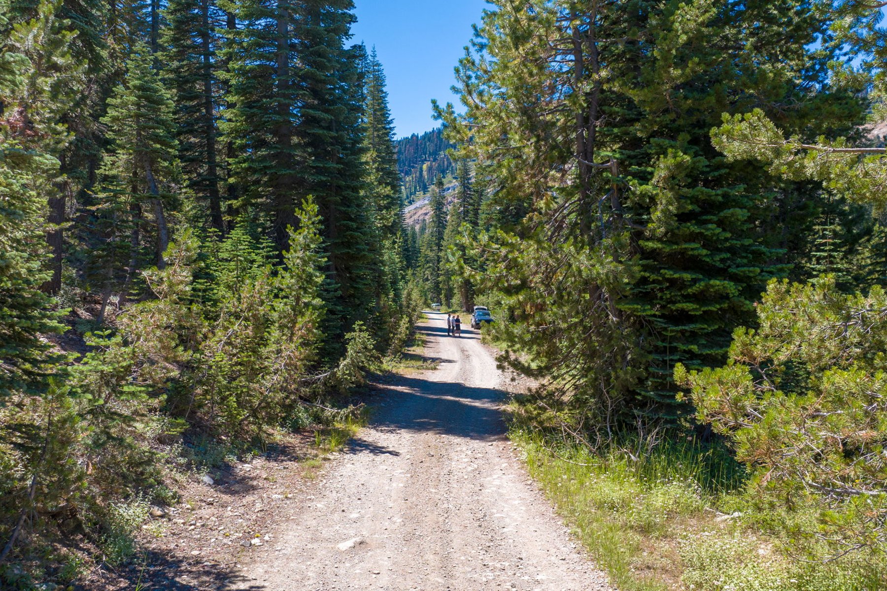  80 Acres of Pristine Land in the Middle of Plumas Eureka State Park - 物件實景