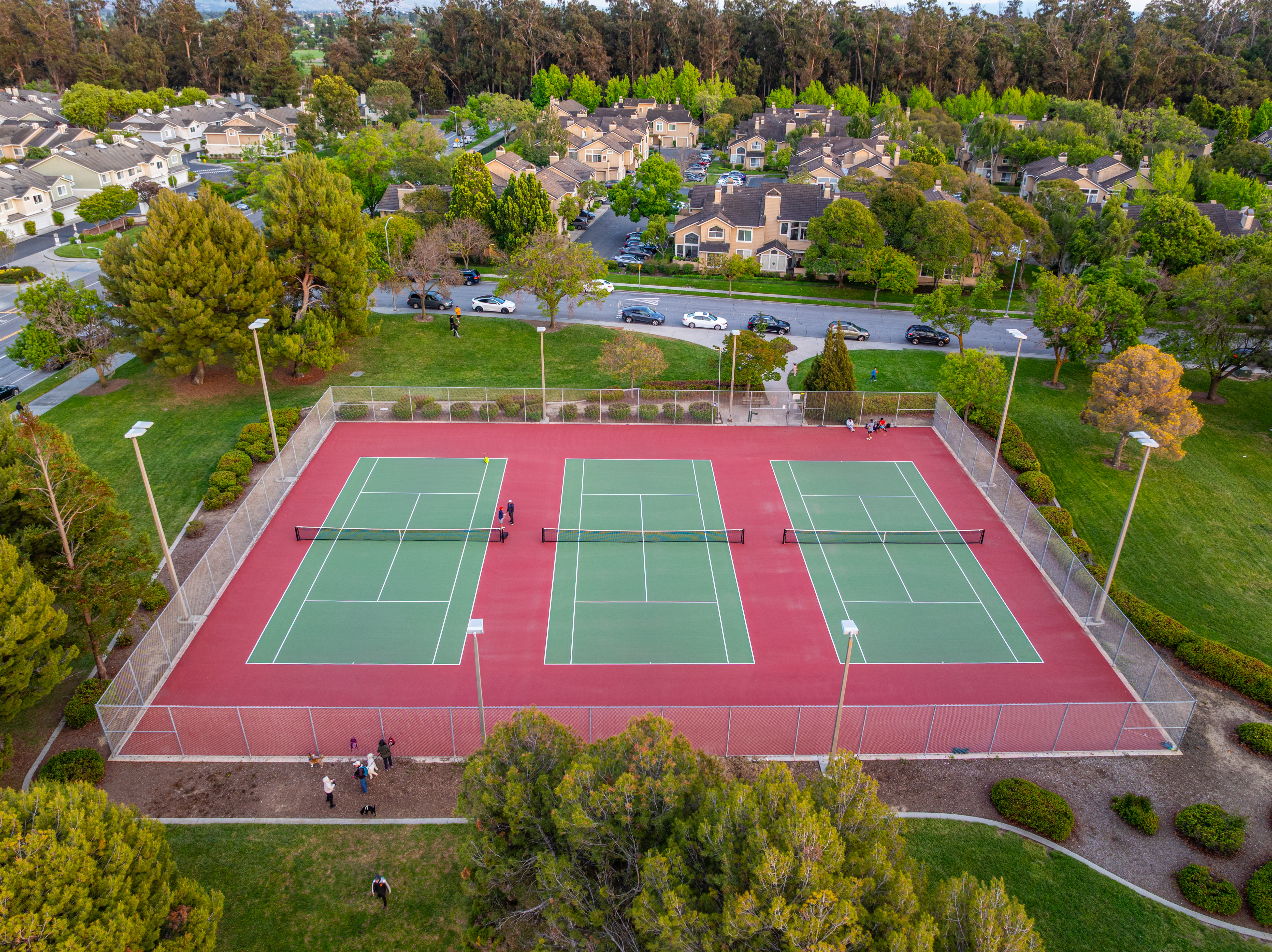  Designer-Appointed Forest Park Home with Seamless Indoor-Outdoor Living - 物件實景