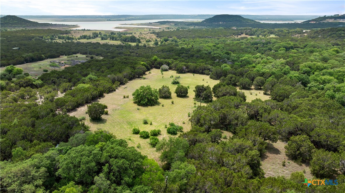 Belton, Texas, 76513, United States, 4 Bedrooms Bedrooms, ,4 BathroomsBathrooms,Residential,For Sale,1989055