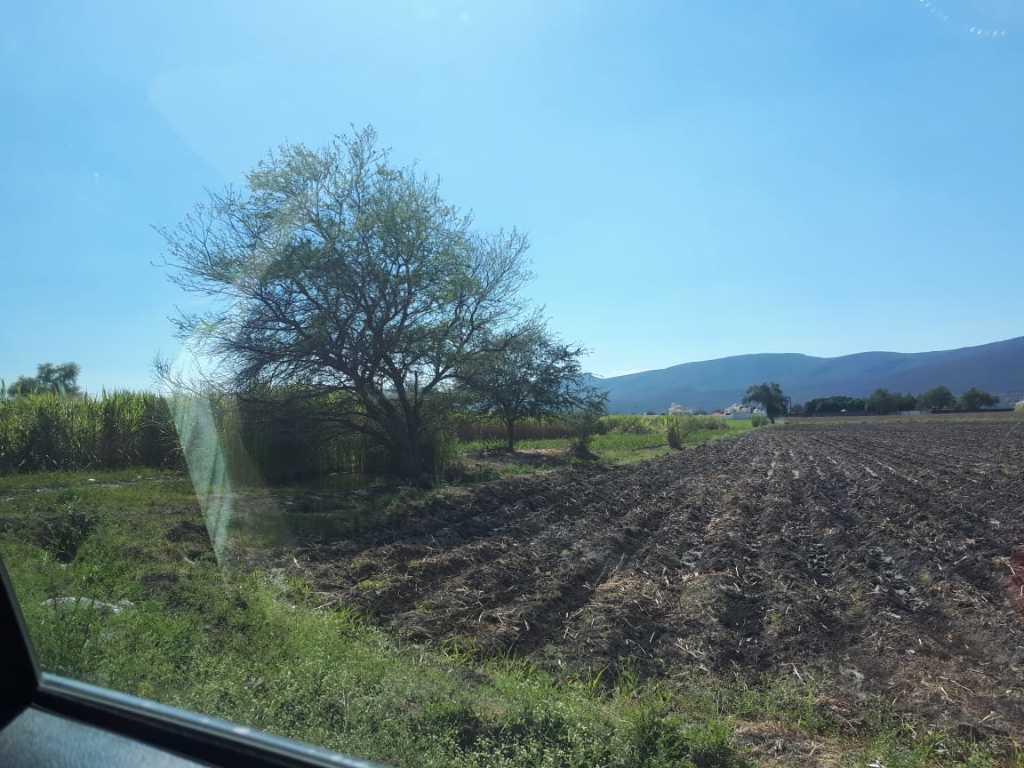 Campo Chamilpa, Yautepec, Morelos, 62739, Mexico, 1 Bedroom Bedrooms, ,Residential,For Sale,Campo Chamilpa,1443493