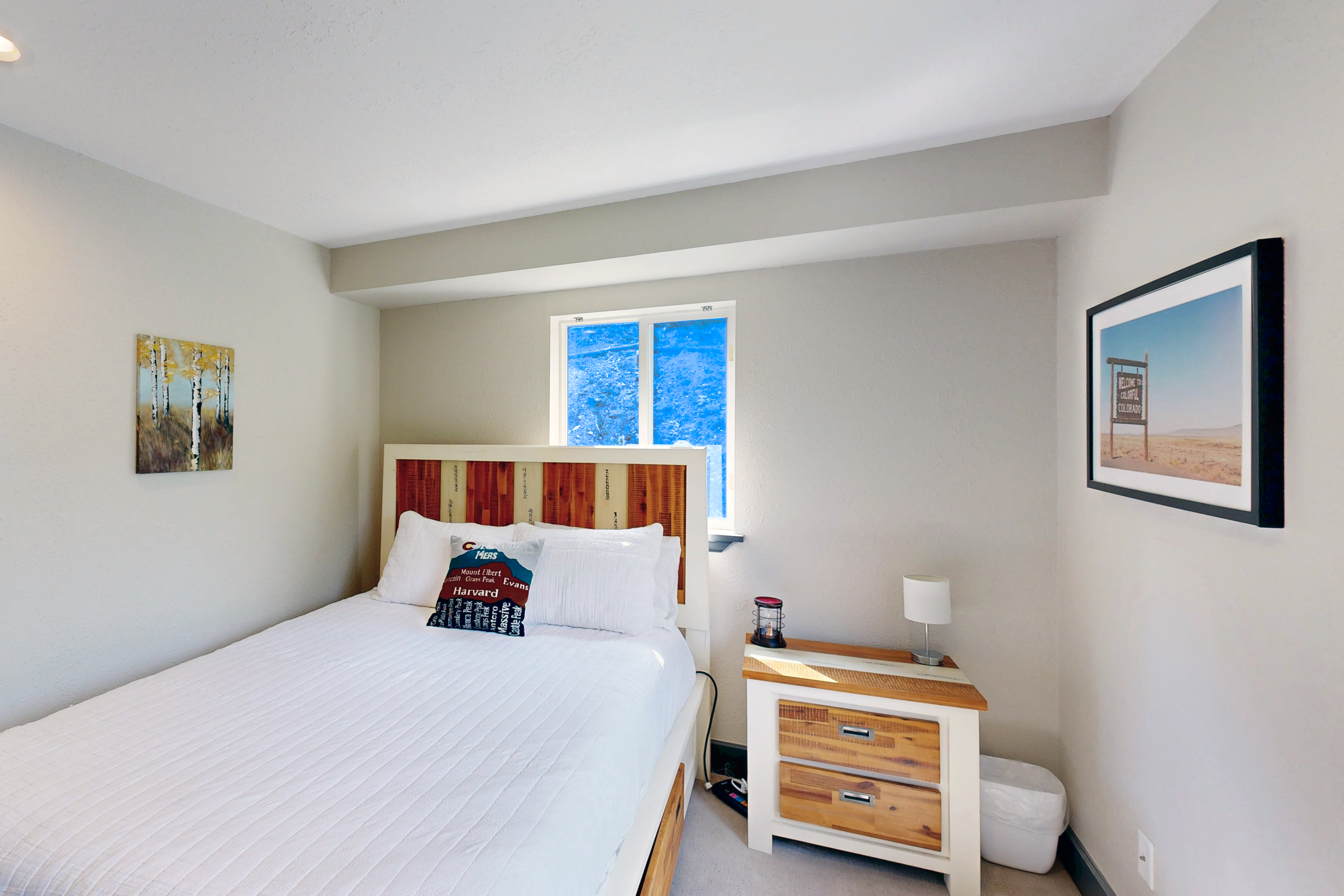  1095 Quartzville,Alma, CO, 80420 - 物件實景