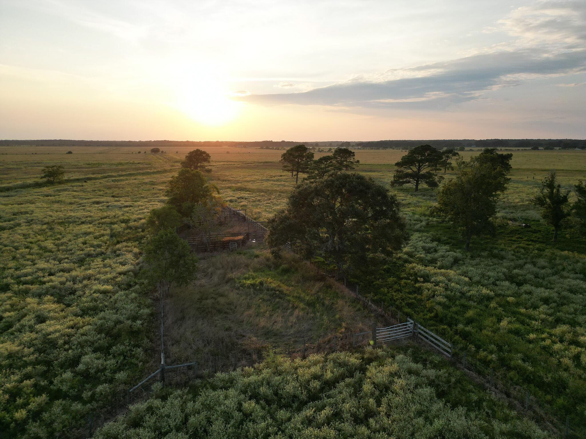 Anahuac, Texas, 77514, United States, ,Land,For Sale,1947447