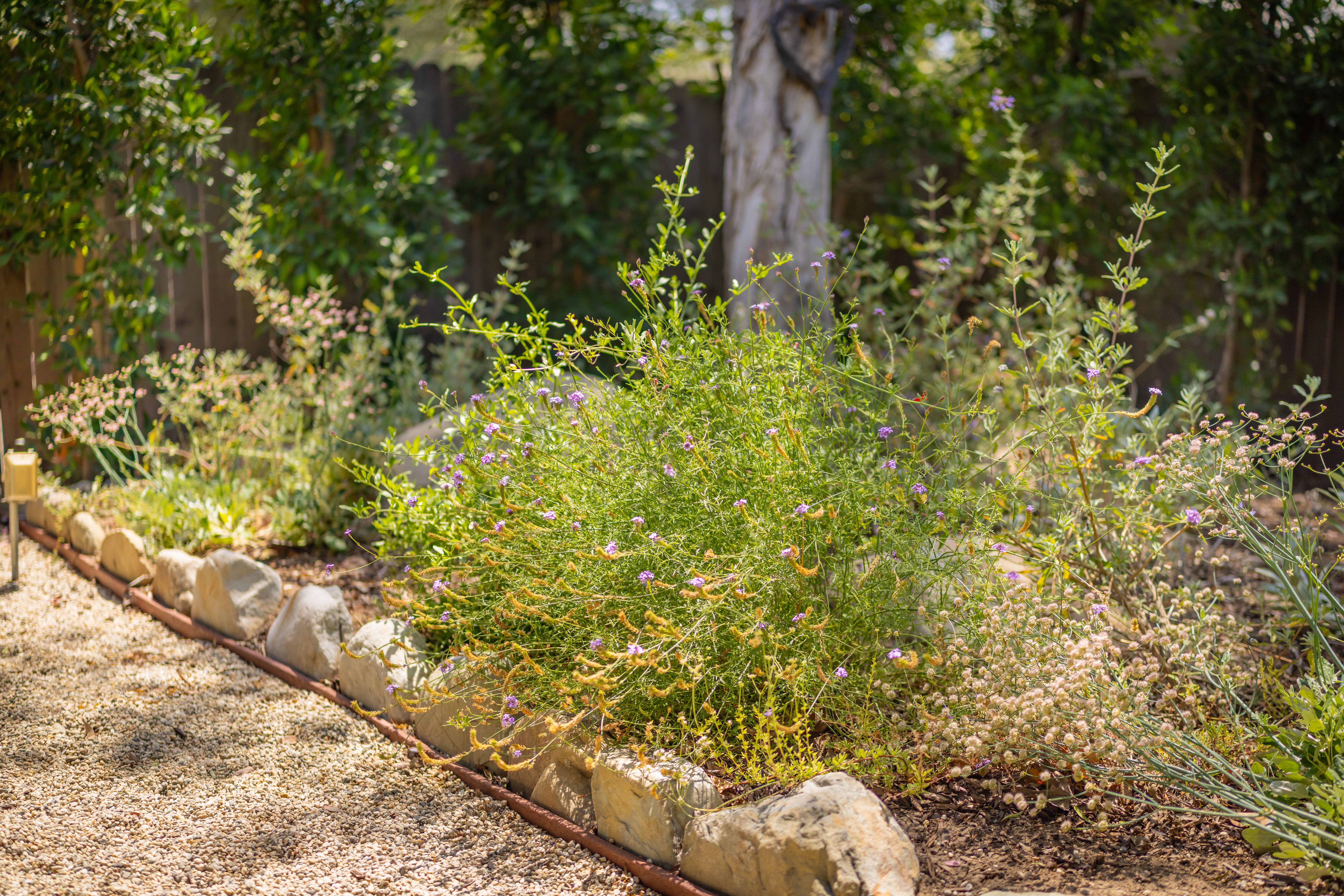  919 East Matilija Street, Ojai, CA 93023 - 物件實景