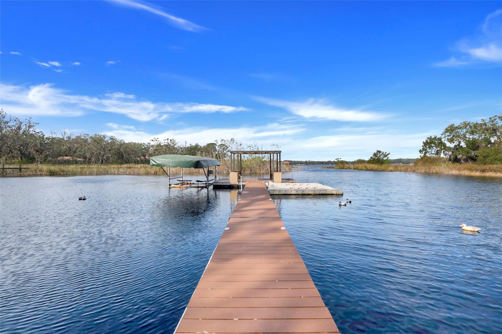 GROVELAND, Florida, 34736, United States, 4 Bedrooms Bedrooms, ,4 BathroomsBathrooms,Residential,For Sale,1695910