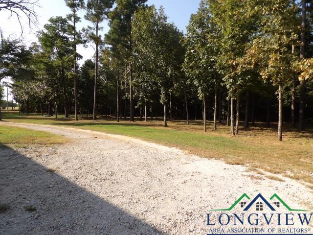 15082 Wisteria Rd., Ore City, Texas, 75683, United States, 2 Bedrooms Bedrooms, ,2 BathroomsBathrooms,Residential,For Sale,15082 Wisteria Rd.,1613063