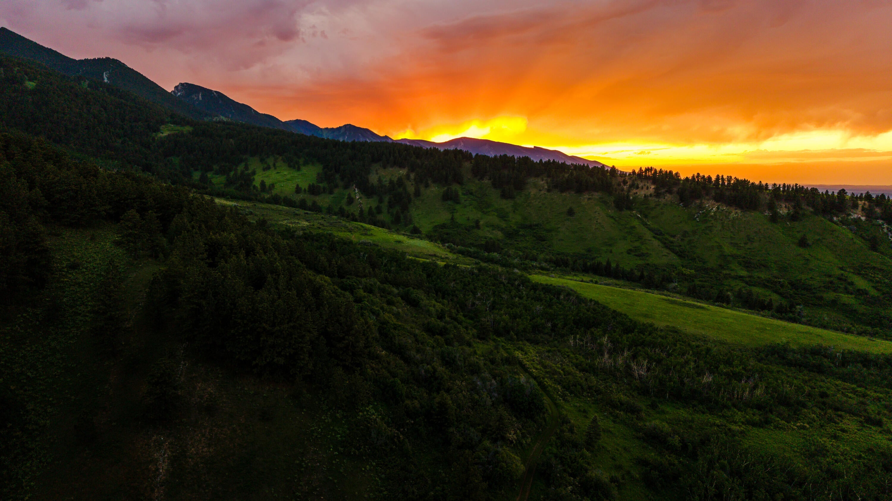 Big Horn, Wyoming, 82833, United States, ,Residential,For Sale,2011314