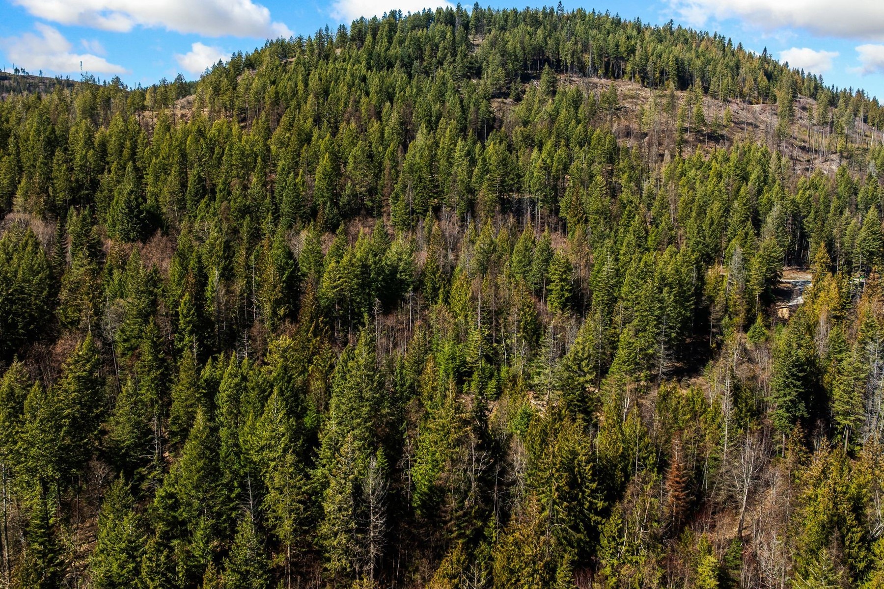  A View above it all - 物件實景