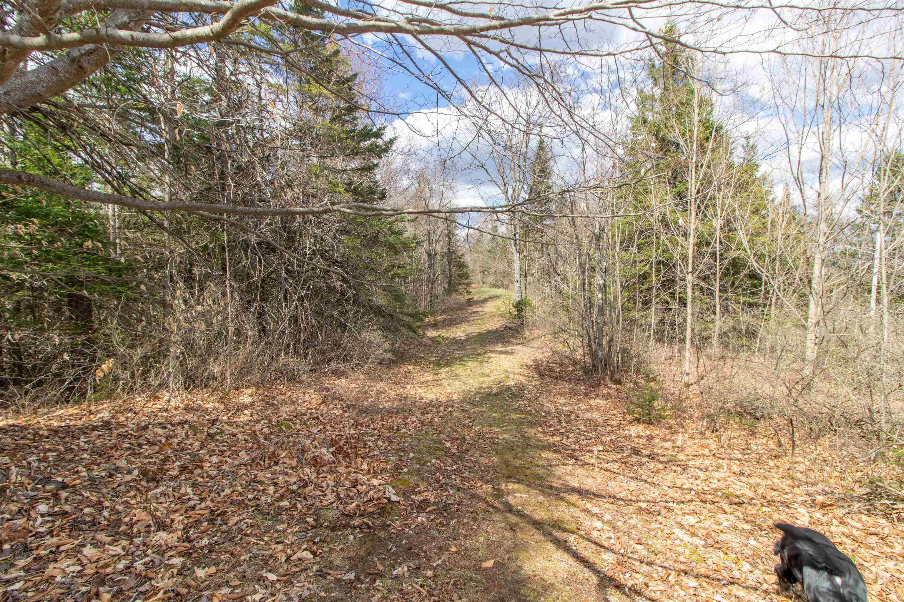 Burke, Vermont, 05832, United States, ,Land,For Sale,2041867