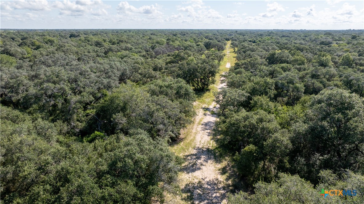 Inez, Texas, 77968, United States, ,Land,For Sale,1918148