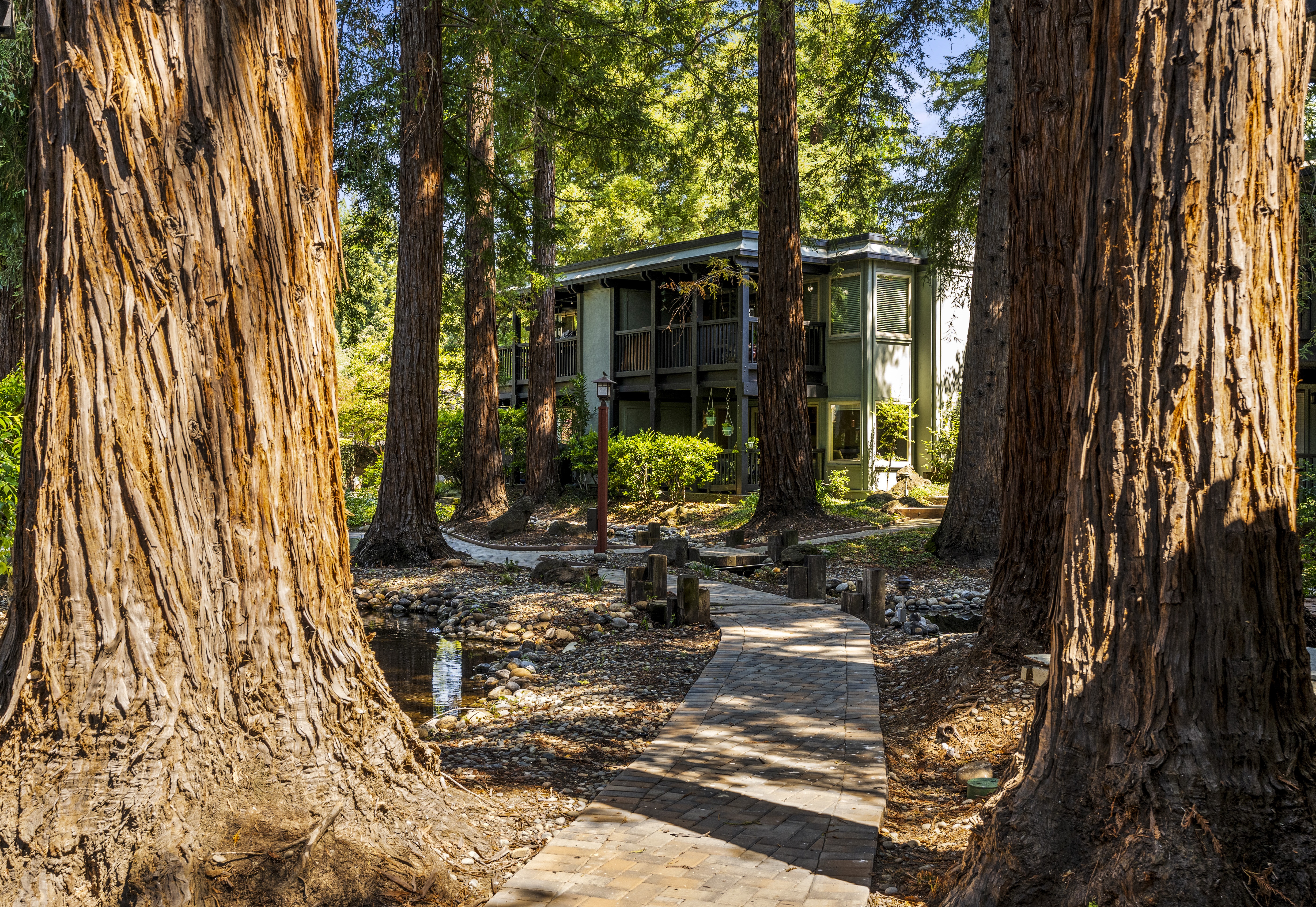  Tranquil Westside Danville Condominium Surrounded by Majestic Redwoods - 物件實景