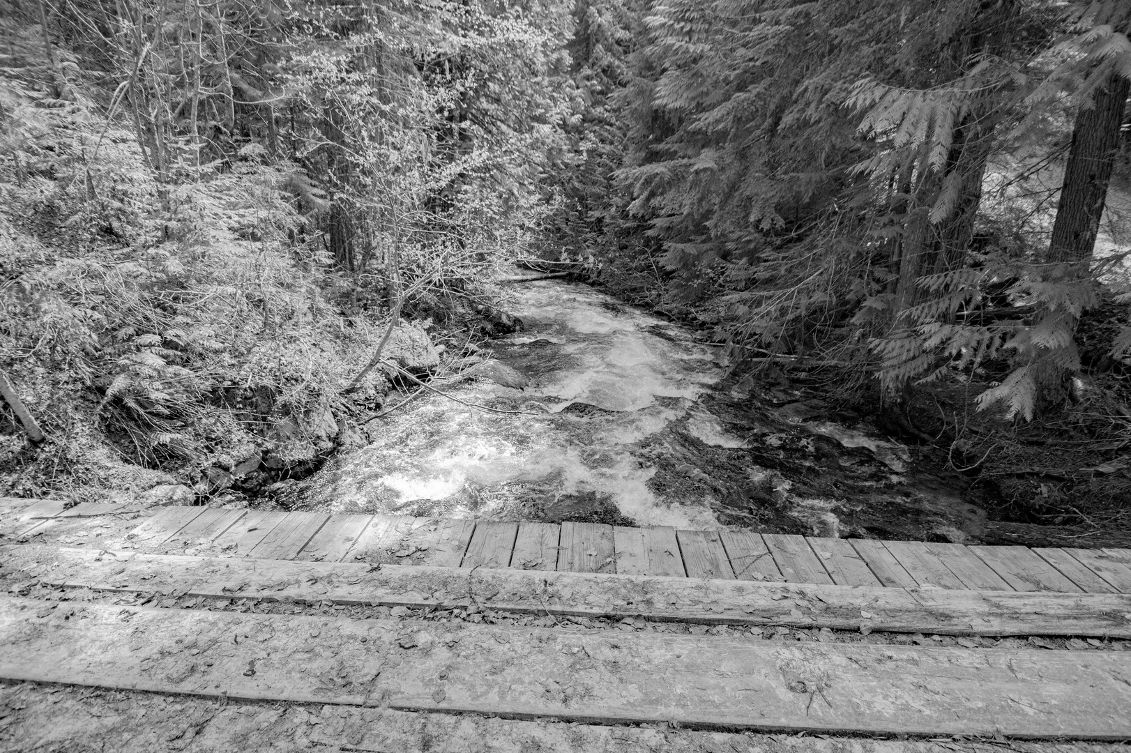 Naples, Idaho, 83847, United States, 2 Bedrooms Bedrooms, ,1 BathroomBathrooms,Residential,For Sale,1979957