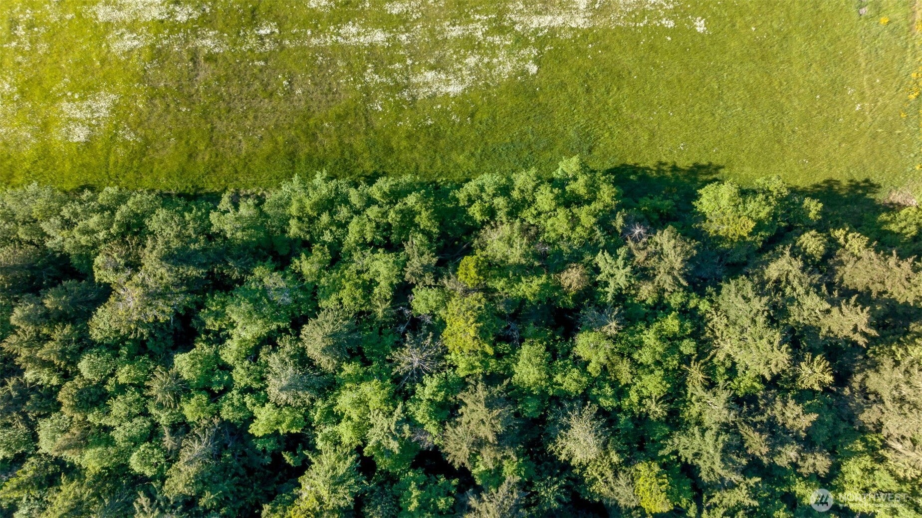 Lopez Island, Washington, 98261, United States, ,Land,For Sale,1982607