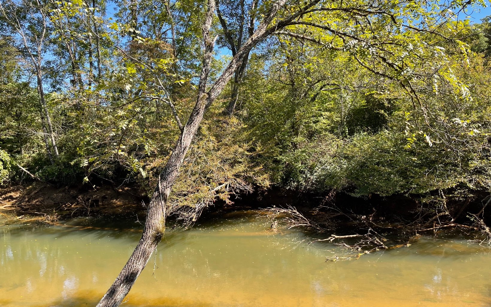 Hayesville, North Carolina, 28904, United States, ,Residential,For Sale,1943293
