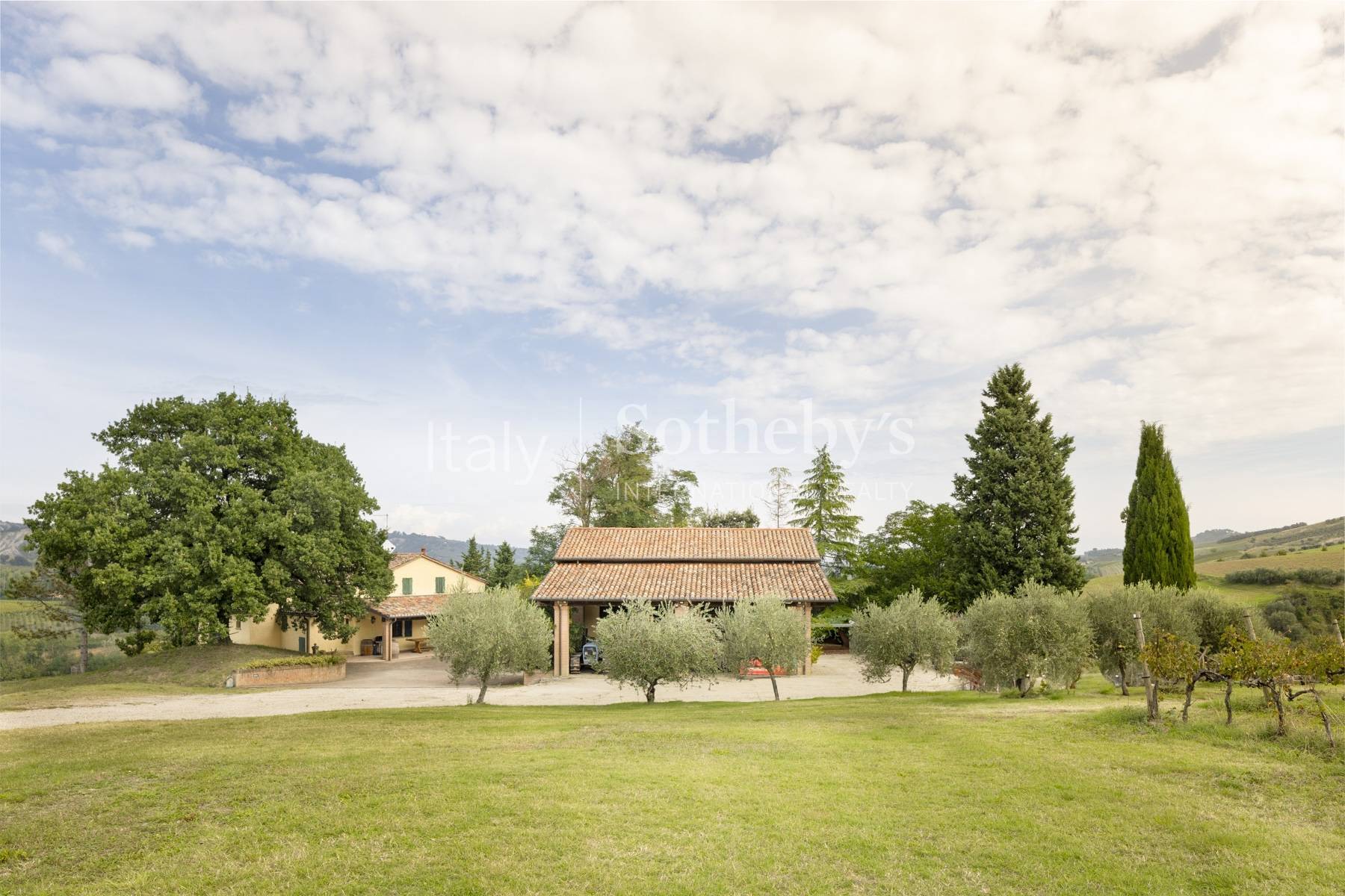  Enchanting agricultural and wine estate on the hills of Romagna - 物件實景