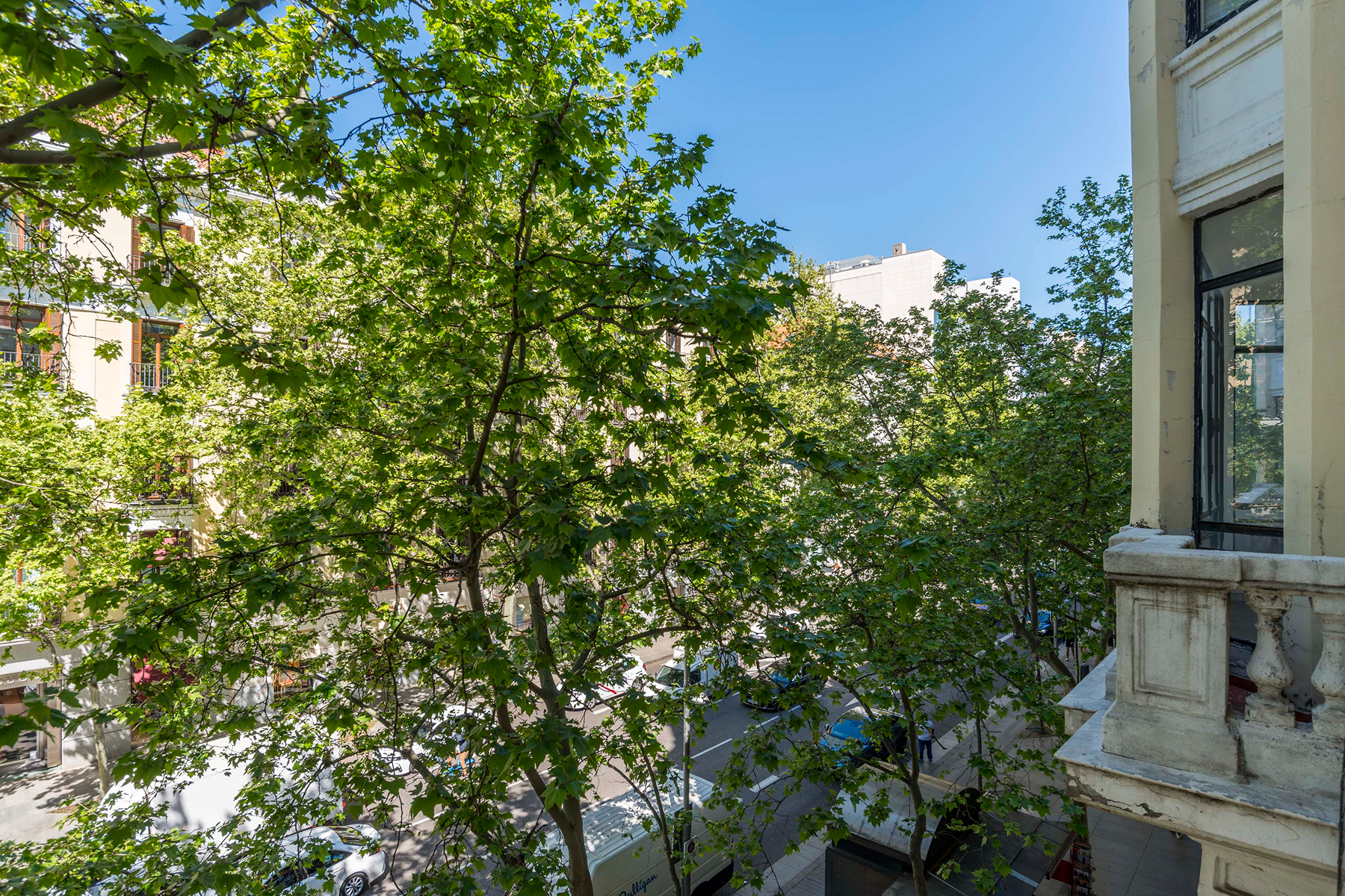  Exterior flat in Barrio Salamanca - 物件實景
